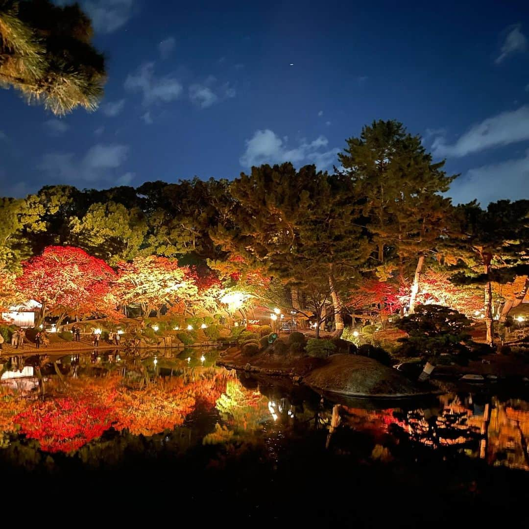 佐々木舞夕さんのインスタグラム写真 - (佐々木舞夕Instagram)「__🍁  紅葉のライトアップを観に🌟  2周して堪能した❤️ まさに今めちゃくちゃ見頃だから早めに是非行ってみてほしい〜！！  日中の雰囲気も観に行きたいなと思いました✨  #縮景園 #shukkeien  #広島市中区  #広島市観光 #広島観光 #紅葉スポット  #広島紅葉スポット #ライトアップ #広島イベント #🍁 #Hiroshima #Japan」11月28日 21時02分 - truffe_m_123