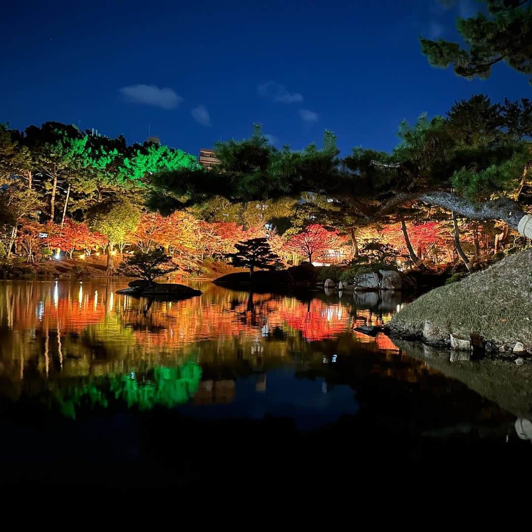 佐々木舞夕さんのインスタグラム写真 - (佐々木舞夕Instagram)「__🍁  紅葉のライトアップを観に🌟  2周して堪能した❤️ まさに今めちゃくちゃ見頃だから早めに是非行ってみてほしい〜！！  日中の雰囲気も観に行きたいなと思いました✨  #縮景園 #shukkeien  #広島市中区  #広島市観光 #広島観光 #紅葉スポット  #広島紅葉スポット #ライトアップ #広島イベント #🍁 #Hiroshima #Japan」11月28日 21時02分 - truffe_m_123