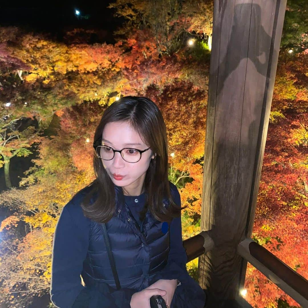 橋本和花子さんのインスタグラム写真 - (橋本和花子Instagram)「東福寺の紅葉ライトアップ🍁　 極寒と秋花粉に耐えながらの絶景。沁みたアア…」11月28日 21時06分 - wakako__hashimoto