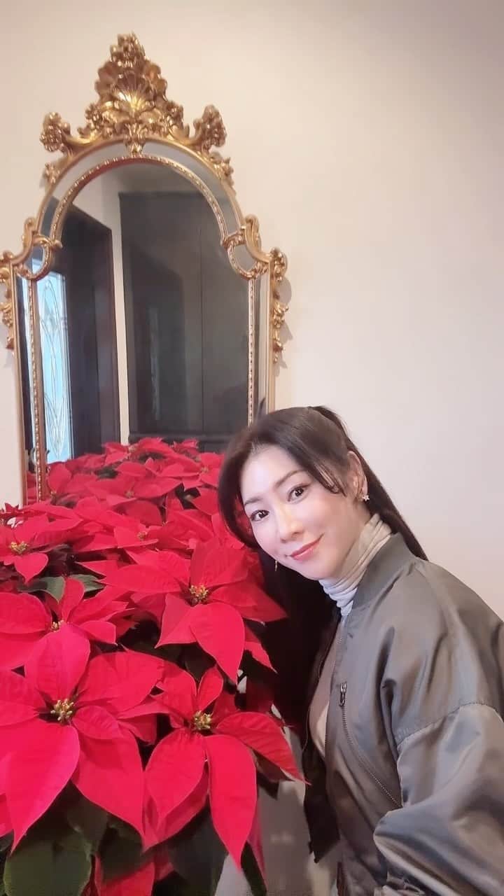 水谷雅子のインスタグラム：「毎年この時期に届く大きなポインセチア🎄 一気にクリスマスモードになりテンションがあがります❤️ そろそろクリスマスツリーも飾りたいと思います🎄🤶 #ポインセチア#毎年楽しみ#クリスマス気分 #花屋さん#ほうかえん#素敵な花屋さん  @houkaen87」