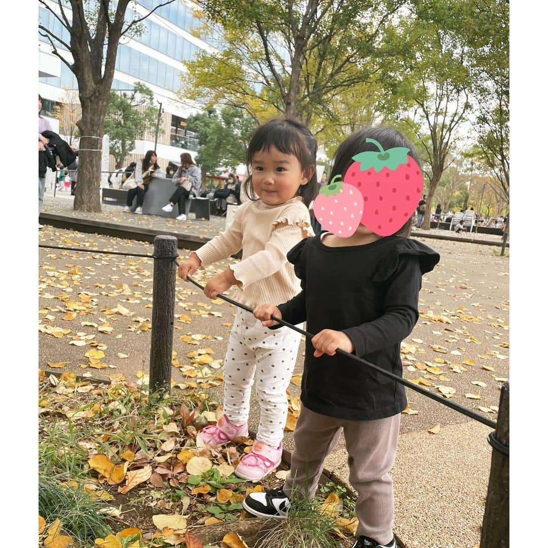 影山祥子さんのインスタグラム写真 - (影山祥子Instagram)「. 直近で遊んだ日🥰 代々木公園いったり、中野の公園まで行ったりして遊んだ🍁 代々木公園はポニーがいて乗馬できた🐴 エサもあげれたけど、乗るよりも近くに行くほうがビビってた😂 ステージに歌のお姉さんとドーモくん達が来て知ってる歌を何曲か歌ったから、みーもノリノリだった😌💓 この日はあったかかったからお外でたくさん遊べた☺️🍁 . 中野は焼きいもフェスに行ってお芋🍠食べた🥰 お芋食べた後もたくさん動き回って楽しそうでした☺️🍁 . ちょっと遠くまで行くのはなかなか大変だけど、みーが楽しそうに遊んでたくさん笑ってくれるから、遠出も頑張れる🥰 次はディズニーかな💓 . . . #秋　#代々木公園　#渋谷　#中野　#やきいもフェス　#焼き芋　#乗馬体験 #yoyogipark #shibuya #pony #sweets #festa #こどものいる暮らし #子育てママ　#子育てぐらむ #楽しかった　#思い出」11月28日 21時07分 - sacco324