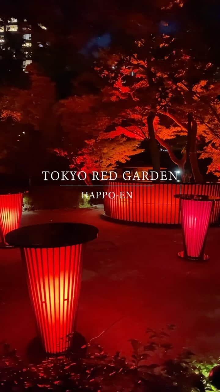 八芳園のインスタグラム：「『TOKYO RED GARDEN AUTUMN FESTIVAL 2023』🍁2023.11.10 fri – 12.10 sun  400年以上の歴史ある日本庭園が赤一色にライトアップされ、秋の訪れを告げる真っ赤な世界が咲き誇る特別な夜。  12月には週末限定の「GARDEN BAR」が計5日間登場いたします。  秋色を纏った幻想的な庭園で、華やかなオリジナルカクテルをはじめとするドリンクを愉しむひととき。  特別で贅沢な、秋の夜をご堪能ください。  【GARDEN BAR】 期間：2023年12月1⽇(⾦)、2⽇(⼟)、8⽇(⾦)、9⽇(⼟)、10⽇(⽇)全5⽇間 時間：17時00分～21時00分(L.O.20時30分) 料金：入場無料(ドリンク別途 500円(税込)～ ※アルコール・ソフトドリンク各種) 場所：八芳園 庭園内(滝前)にて  ▼「TOKYO RED GARDEN AUTUMN FESTIVAL 2023」 https://happo-en.com/event/autumn_festival2023/  ※動画はイメージ・過去のイベントの様子です  🍁🍁🍁  #tokyoredgarden2023  🍁🍁🍁  #八芳園 #happoen #日本庭園 #Japanesegarden #紅葉 #紅葉スポット #🍁 #紅葉狩り #紅葉ライトアップ」