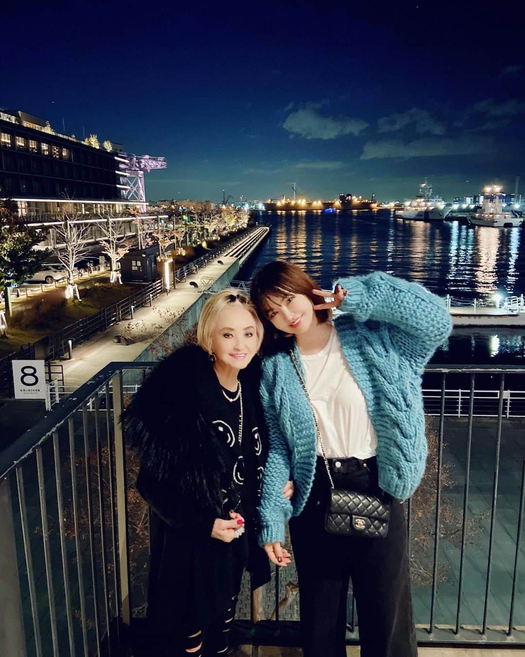 平子理沙のインスタグラム：「先日、横浜にお泊まりに母上と行った時の写真です✨ 夜景がとっても綺麗でした🤩💕  #横浜ぶらり #lifestyle#beauty#fashion#risahirako#平子理沙」