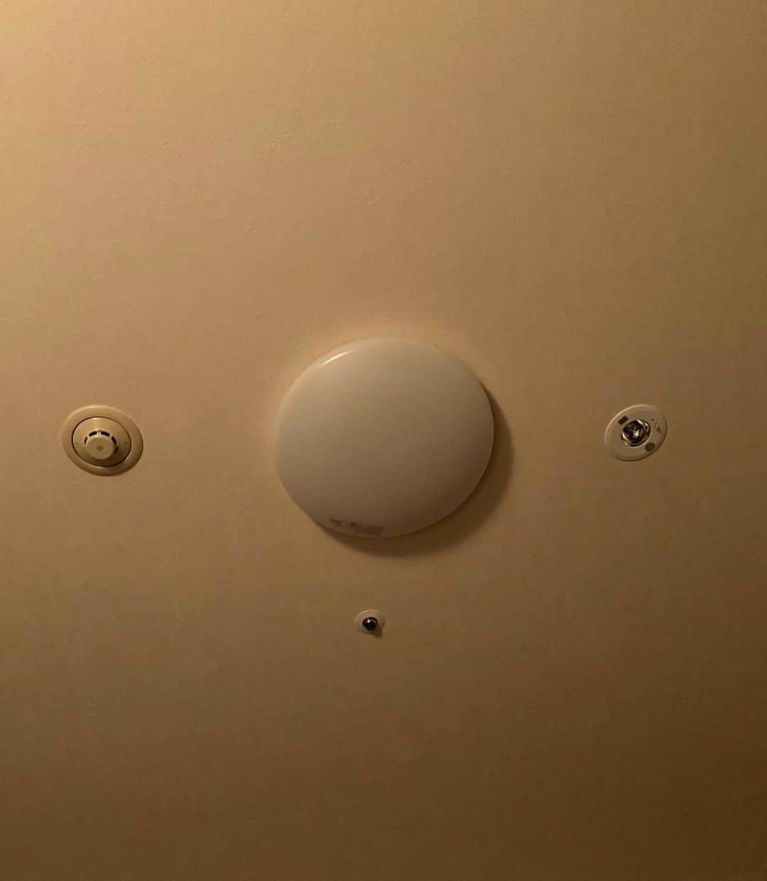 吉川正洋さんのインスタグラム写真 - (吉川正洋Instagram)「ホテルの天井がコアラに見えてきました…🐨」11月28日 21時37分 - dhyoshikawa