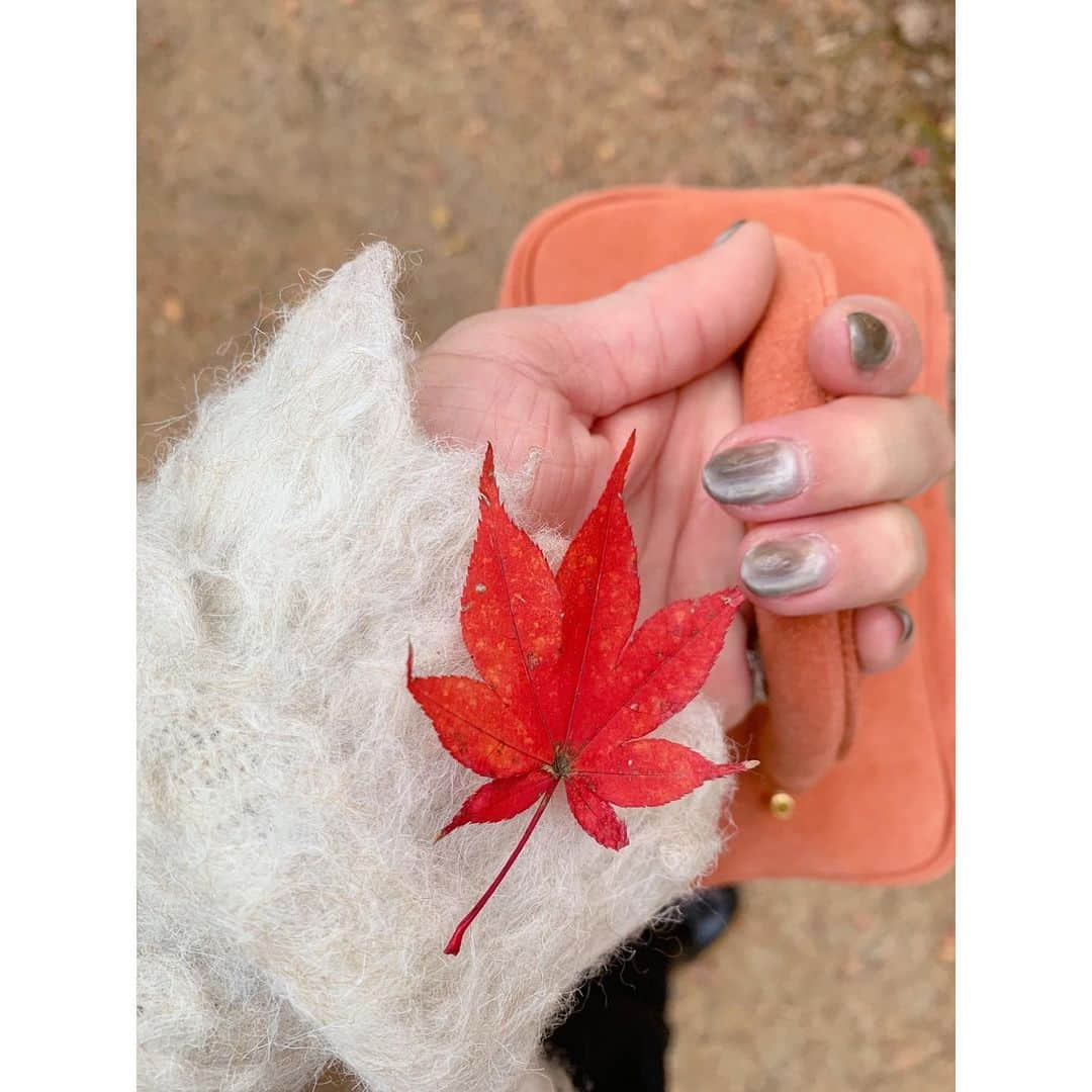 chieminsさんのインスタグラム写真 - (chieminsInstagram)「休日のコーデ🍁🍂  鰻を食べに行った日は暖かくてコーデュロイのジャケットでも暑いくらいだった~~~ 久々の鰻はめちゃくちゃ美味しかった😋 この日は沢山お買い物もできて大満足な1日でした‧✧̣̥̇‧  jacket▶︎▷#uniqloc #uniqlo  bag▶︎▷#chiiiibag  boots▶︎▷#canaljean   紅葉を観に行った日🍁 この日も暖かかった~ 紅葉を意識したバッグの色味で‧✧̣̥̇·͜· ライトアップも観れた🤍  knit tops▶︎▷#gallardagalante T▶︎▷#lavishgate skirt▶︎▷#oksoon bag▶︎▷#chiiibag boots▶︎▷#canaljean  #code  #coordinate #ootd #outfit #mylook #ママコーデ#156cmコーデ」11月28日 21時49分 - chery0131