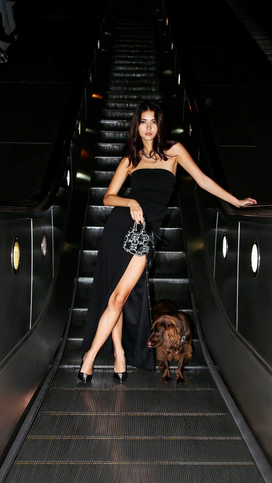 CHARLES & KEITHのインスタグラム：「CHARLES & KEITH HOLIDAYS PARTY COLLECTION  @elleerasmuss coordinates her holiday look with her furry friend by accessorising herself with the beaded top handle bag and it with the matching bead-embellished pet collar.  Discover more via the link in bio.  #CharlesKeithCelebrates #CharlesKeithFW23 #ImwithCharlesKeith  Products featured:  Metallic Slant-Heel Pointed-Toe Pumps Beaded Top Handle Bag Metallic Bead-Embellished Pet Collar」