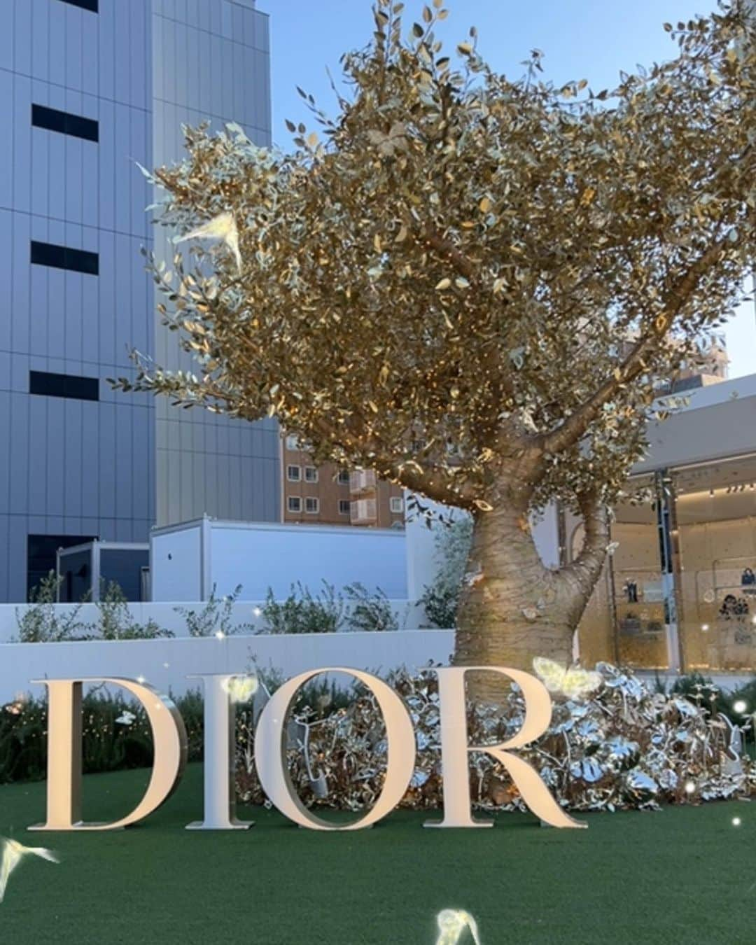 ゆうたむさんのインスタグラム写真 - (ゆうたむInstagram)「表参道 DIOR ホリデー🎄🦋  表参道交差点の所に人が沢山😳🤍  DIORのホリデーポップアップイベント会場がありました✨✨✨  すごくキラキラしてたけど 夜のほうがきっと綺麗だろうなぁ🌃😳  今日は昼間暖かくてワンピ1枚でいけました😊👗 久しぶりのお友達と会えて嬉しかった🫖☕️👭  #表参道dior #dior表参道 #dior #ディオールホリデー  #ディオール  #クリスマスツリー #表参道イベント」11月28日 22時04分 - yuutamu_non