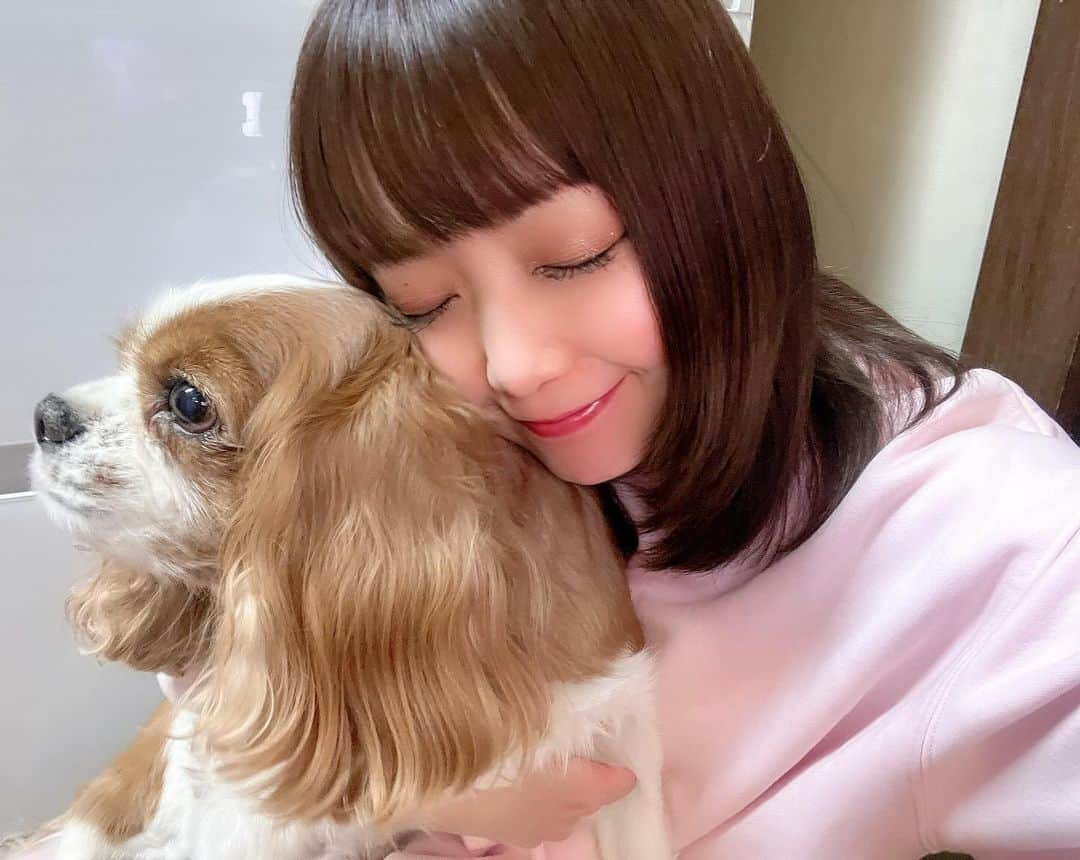 嶋梨夏のインスタグラム：「長生きしておくれ🥺✨ . . . . . #被写体 #お仕事依頼受付中 #cavalierkingcharlesspaniel #cavalier #キャバリア #キャバリアキングチャールズスパニエル #キャバリア部 #mydog #愛犬 #Ace #dogstagram #むちむち #ぷに子 #アラサー女子 #平成元年生まれ #150cm #ファインダー越しの私の世界 #ポートレート #ポートレート撮影 #女優 #actress #photooftheday #JAPAN #japanesegirl #instagood #followme #ricashima #嶋梨夏」