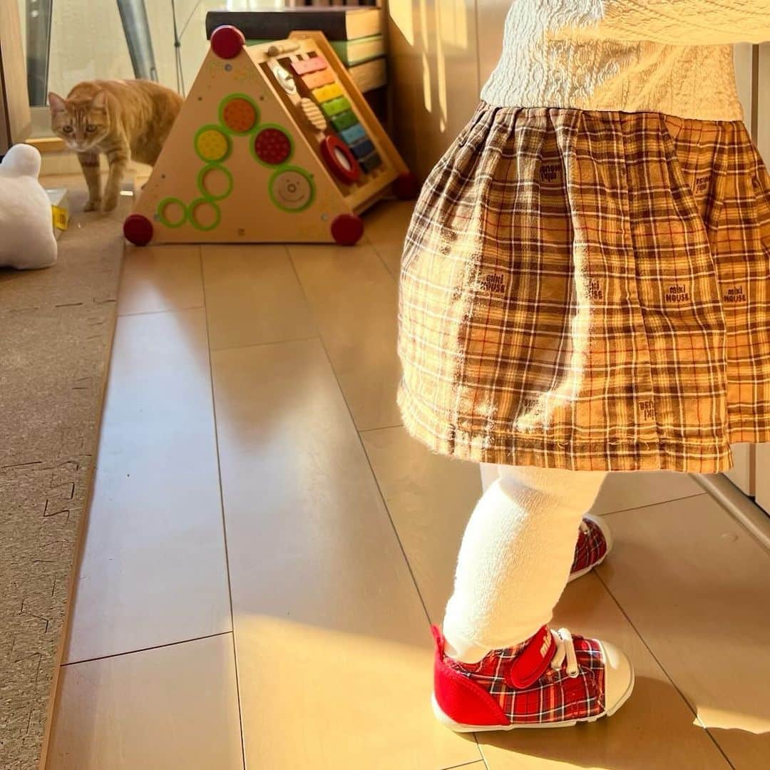 文田健一郎さんのインスタグラム写真 - (文田健一郎Instagram)「- - First shoes😍 - この前生まれたと思ったら、もう靴履いてる🙄 - - #ミキハウス #mikihouse」11月28日 22時14分 - nyankowrestler