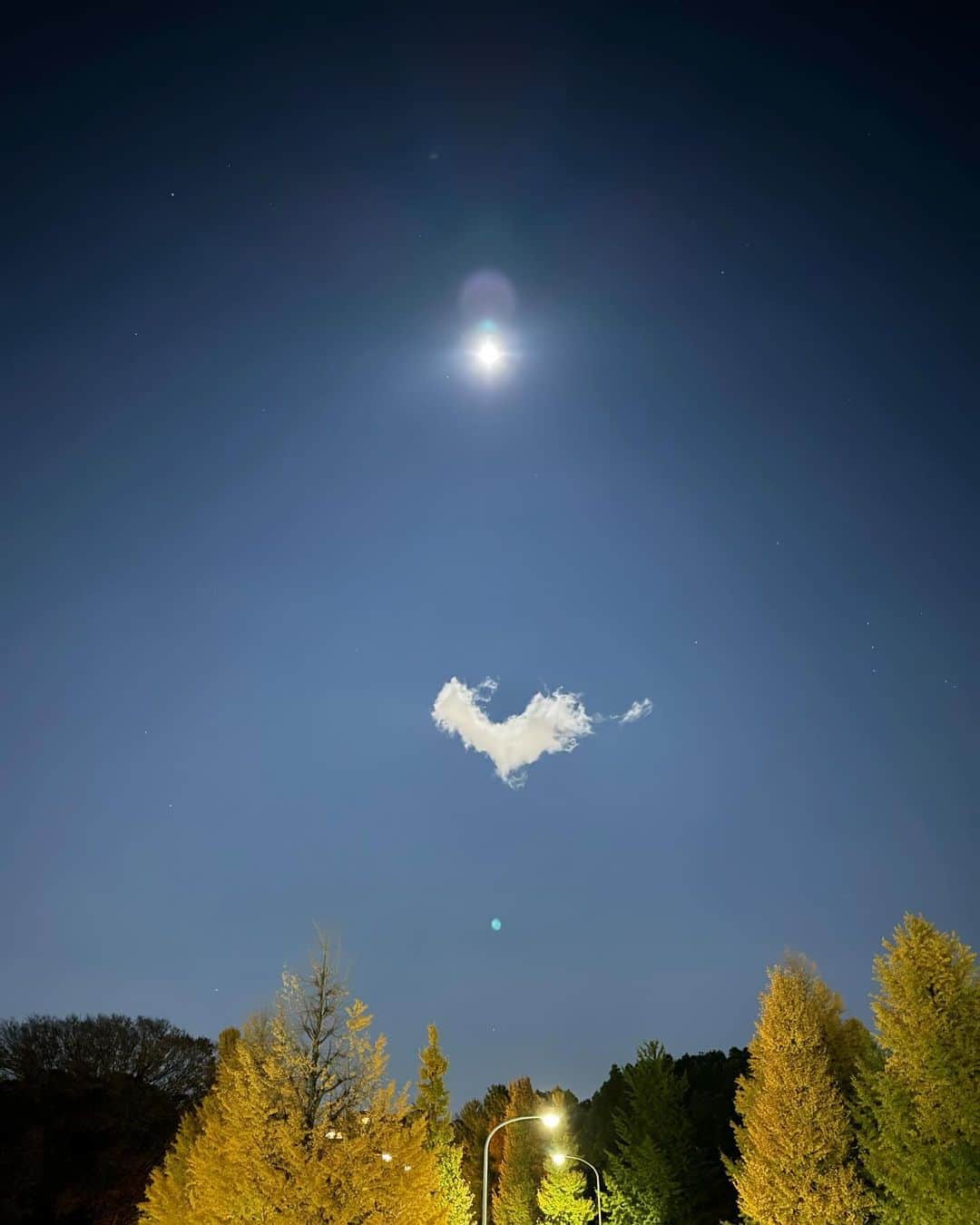 菊井彰子のインスタグラム：「ハートの雲を👧が見つけたって☁️🩵  子供の気付きってホント素敵🥹🥰  お裾分け🫶🫶🫶🫶🫶  #ハートの雲  #🫶  #娘目線📷　 #アルパカにもみえる🦙笑 ・ ・ ・ ・ #4yearsold  #4y3m  #4歳女の子  #4yearsold」