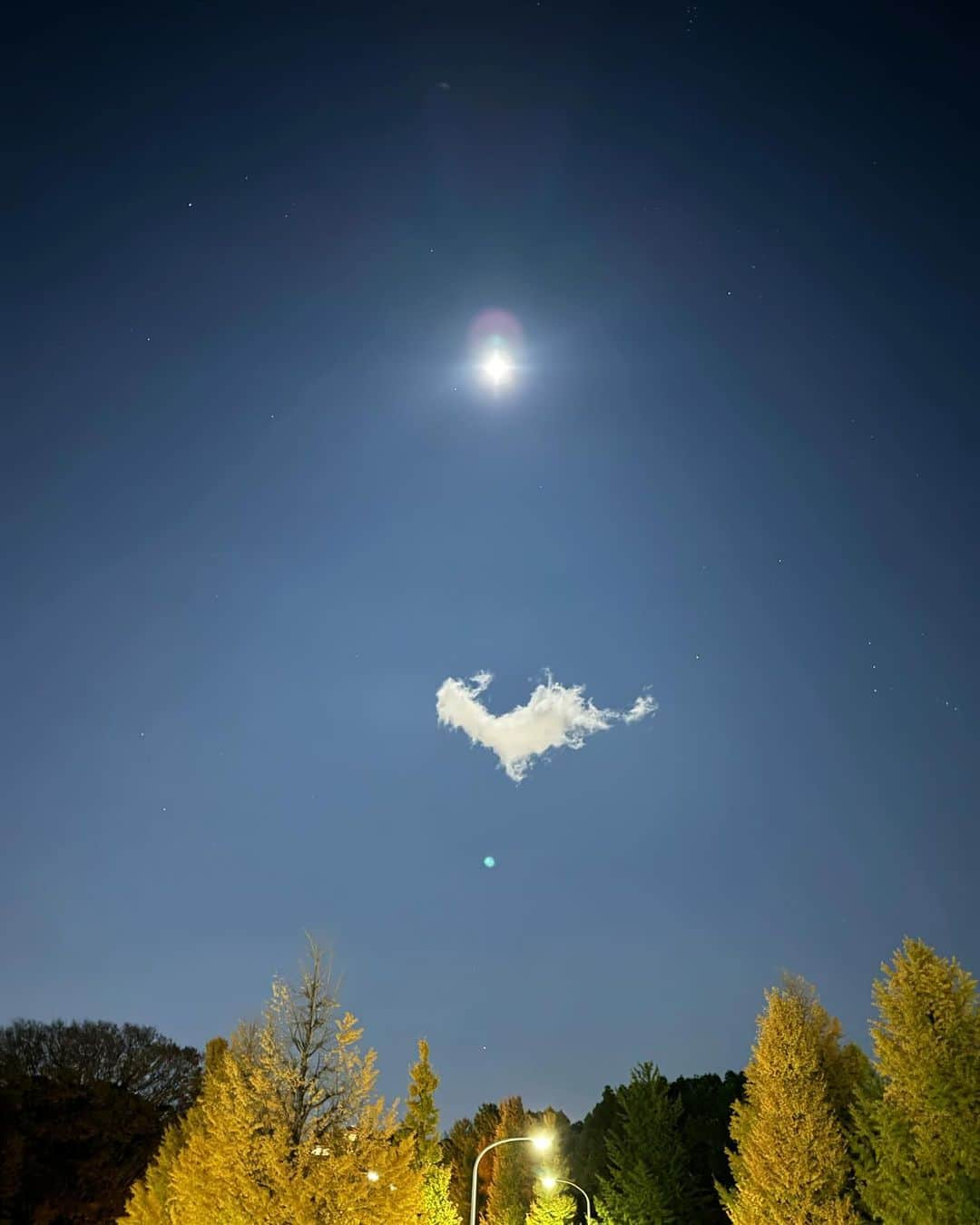 菊井彰子さんのインスタグラム写真 - (菊井彰子Instagram)「ハートの雲を👧が見つけたって☁️🩵  子供の気付きってホント素敵🥹🥰  お裾分け🫶🫶🫶🫶🫶  #ハートの雲  #🫶  #娘目線📷　 #アルパカにもみえる🦙笑 ・ ・ ・ ・ #4yearsold  #4y3m  #4歳女の子  #4yearsold」11月28日 22時16分 - yanakiku_kiku