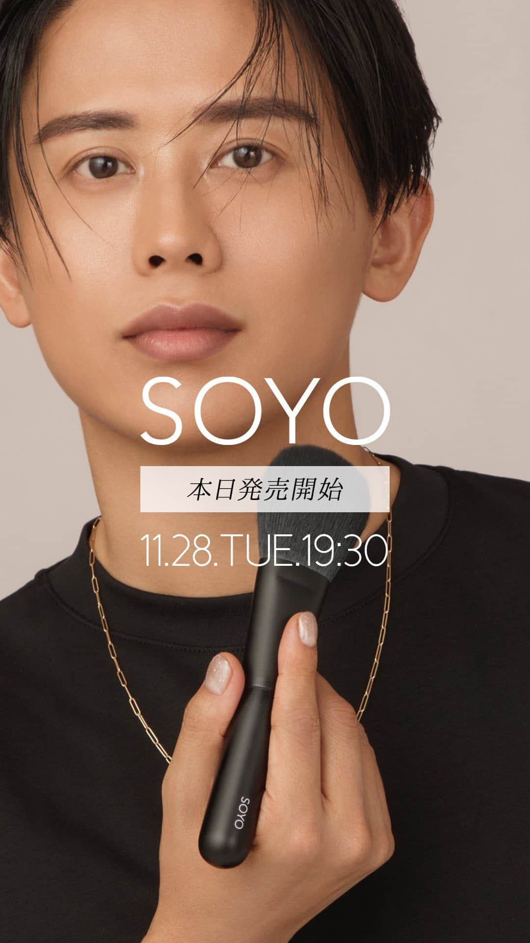 SOYOブラシ ディスカバー フルセット 10本 専用ケース付き SOYO