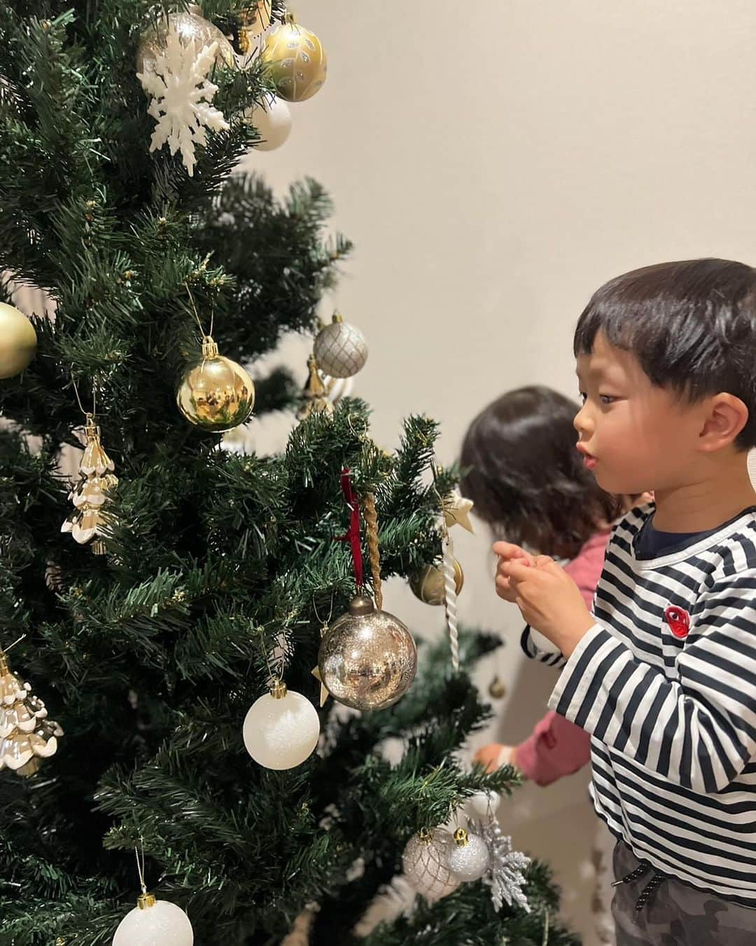 亀恭子さんのインスタグラム写真 - (亀恭子Instagram)「一箇所に飾りがたくさんw  先週末に、 やっと飾り付けしたクリスマスツリー。  今年は3兄弟、子供だけでツリーを組み立てるところから やってみました⭐︎  長男がリーダーとなって、 クリスマス生まれの次男は実に嬉しそうに、 長女はキラキラのオーナメントに目を輝かせながら。  飾りが同じ部分にかたまって付けてあるのを見つけて ほっこり^^  もうすぐ11月終わりますね。 いよいよ師走。  字の如く、 最近の私は分刻みに走りまくってます… 年内に健康診断も行かなきゃだな。  #christmastree #winterwillcome #2023 #例年よりは早くツリー出せた」11月28日 22時25分 - kame_kyo