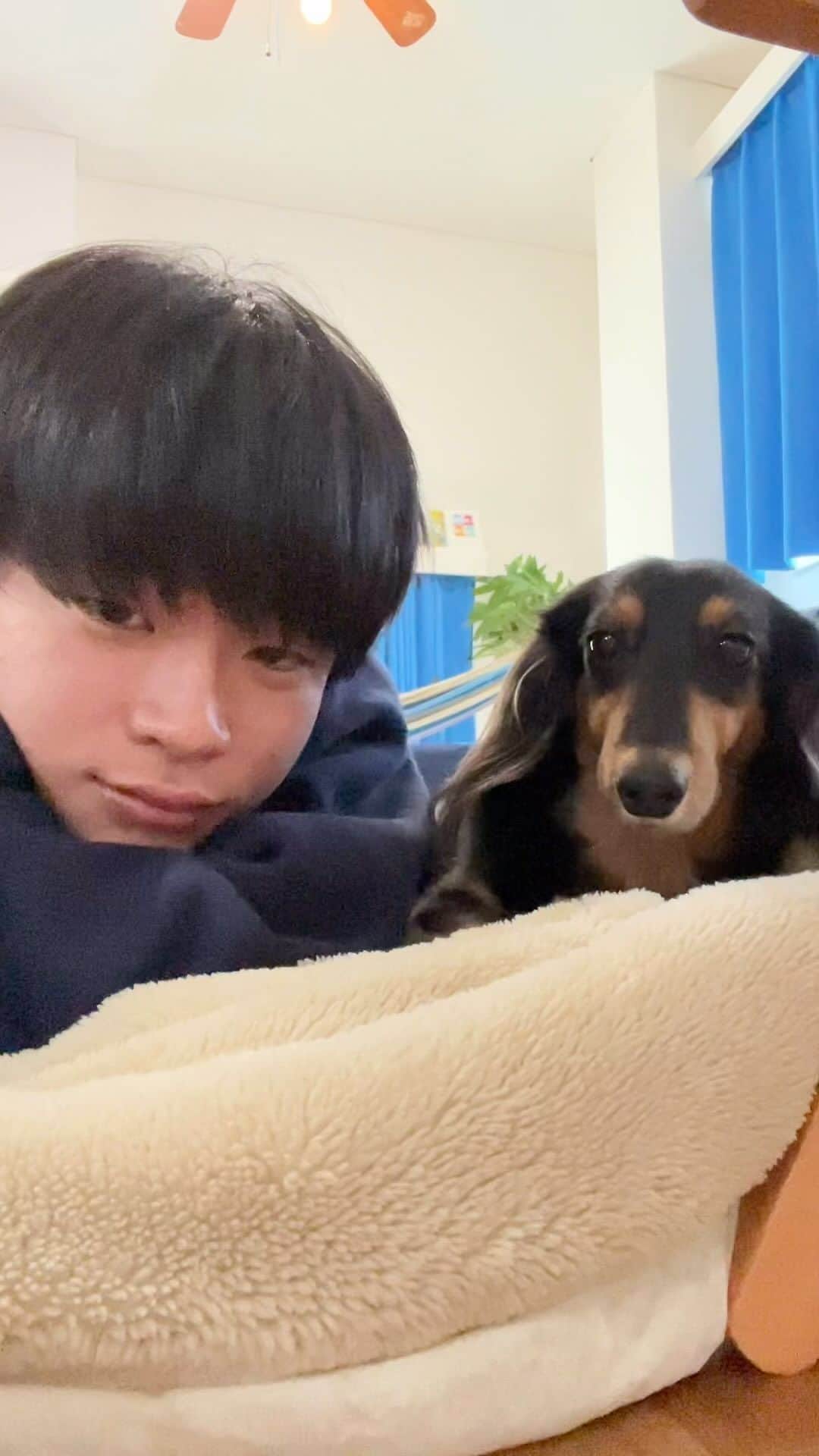 すしらーめん《りく》のインスタグラム：「一緒に昼休みYouTubeでマムシに噛まれた犬ラッキー見てた。息抜きしたい時におすすめ笑#ダックス #犬#ベリーベリーロングドック」
