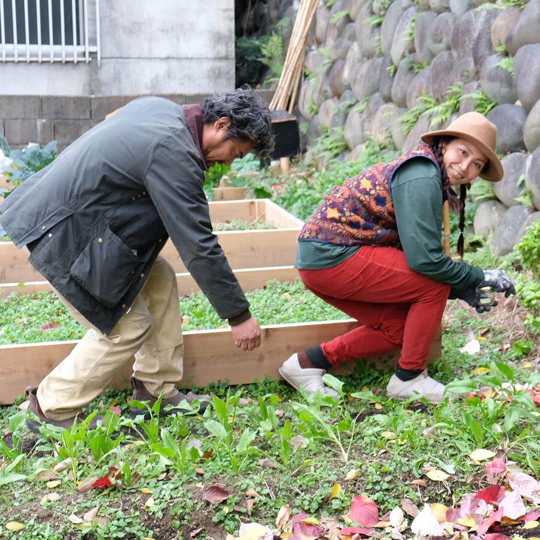 空木マイカさんのインスタグラム写真 - (空木マイカInstagram)「都会の空き地でリジェネラティブ農業をやる Nagoya Urban Regenerative Farm(NURF)は 東別院の北側の通りでやってます。  今月は畑でクリスマスランチをしたあと レンゲを緑肥エリアにまき、 スナップエンドウの種をまき、 マリーゴールド、ストロベリーキャンドルを 畝の間に植えました。  畝の間に落ち葉を敷いたら カラフルでかわいい畑に！ どんどん景色が移り変わっていく。 春が楽しみだな。  NURFも東別院暮らしの朝市しょうゆも 12月はお休み。  年明けは1/18に 10:00〜お醤油天地返し@東別院本堂前 12:30〜 NURF @東別院北側の通りの空き地 です。どなたでもご参加いただけます！ ご興味ある方、お気軽にお越しくださいね。  そして！1/28はいよいよお醤油しぼりです！！ 一年かけてできてきたもろみを しぼりの舟で搾り、できたての醤油を みんなでいただきます！  10:00〜東別院中門前でやるので ぜひいらしてください。 餅つきもやりますよ〜！ 参加費無料、予約不要です。  🌱🌱🌱🌱🌱🌱 NURF:Nagoya Urban Regenerative Farmは 都会の空き地で、リジェネラティブ農業によって 炭素固定をしながらエディブルガーデンをつくり、 名古屋をエディブルシティにしていくプロジェクト。  NURFの畑は東別院さんが @higashibetuin 空いていた場所を貸してくださり 誰でも参加できるみんなの畑として 使わせていただいています☺️  海のリズムにあわせて波に乗るSURFのように NURFは都会で自然のリズムに耳を澄ませます。  @greenjourney2020 #リジェネラティブ #エディブルシティ #都市型農園」11月28日 22時56分 - maika_utsugi