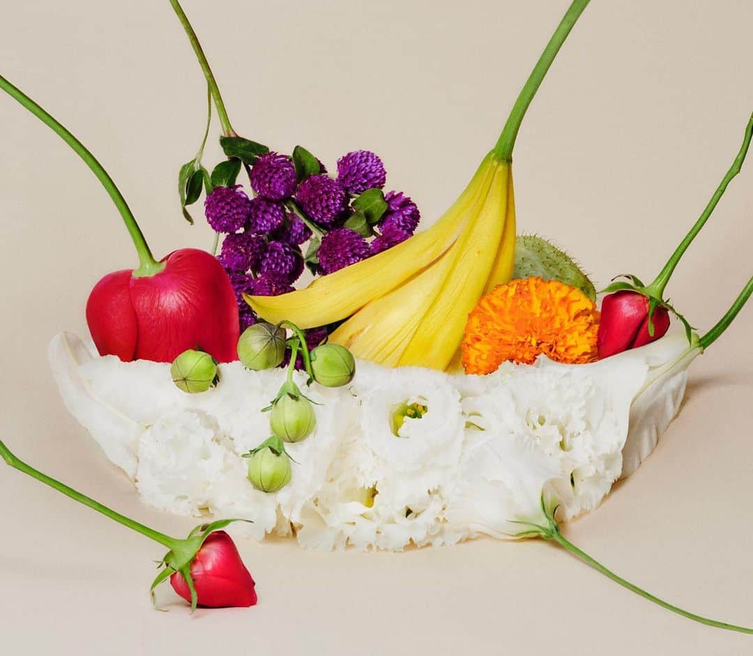 吉田ユニのインスタグラム：「New work『flower fruits』  花を逆さまにしたり違う角度にすることで、フルーツや野菜のように見立てて表現しています🍎🍌🍓🍇🍅🍒 #fruit #flower #fruitsbasket」