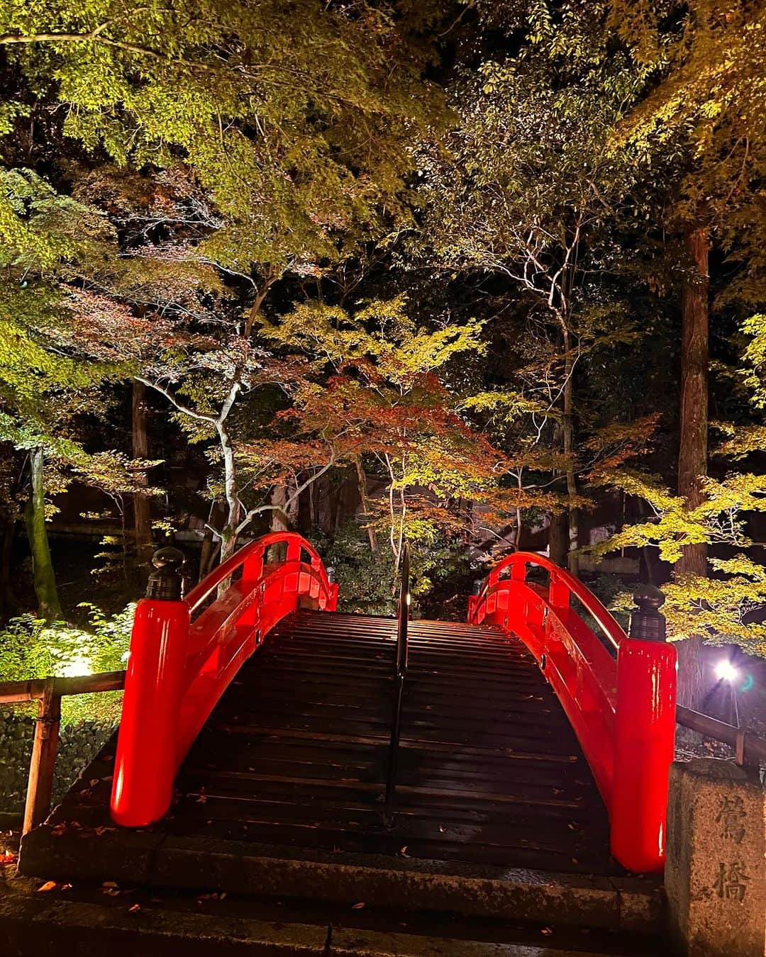 高松いくさんのインスタグラム写真 - (高松いくInstagram)「🍁きっと、今❗️  すっごい、紅葉が深まってると思う☺︎🍁  (写真11/13)この日だって綺麗だった😍  京都のこきはおさえておきたい紅葉スポットのひとつ 【北野天満宮】 豊臣秀吉公が築いた 「史跡 御土居」のもみじ苑は約350本の樹木が植えられ、 中には樹齢350年を越す「三又の紅葉」等の古木もあるらしいです。 長年、人を癒やし続けてくださったのですね🥺❤️  #おいでやす #京都　#紅葉スポット #今が旬  #北野天満宮 #京都紅葉ライトアップ  #京都観光 #旅行　#旅 #kyoto #travelgram #travelphotography」11月28日 23時13分 - iku_takamatsu_trip_sup_yoga