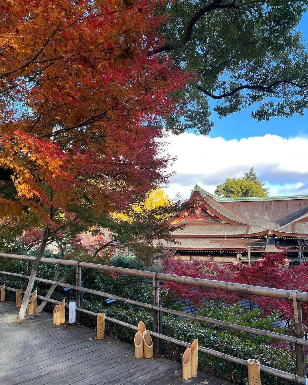 駒田奈美さんのインスタグラム写真 - (駒田奈美Instagram)「・ ・ ・ 『北野天満宮』 ・ ・ @kitano_tenmangu 学問の神様 北野天満宮へ ・ ・ もみじ苑の紅葉も見てきました🍁 ・ ・ ・ 次男の合格祈願も兼ねて… ・ ・ ・ #駒田奈美#モデル#アラフィフ#美魔女#紅葉#京都#京都旅行#北野天満宮#北野天満宮もみじ苑 #もみじ苑#合格祈願#学問の神様」11月28日 23時38分 - nami.komada