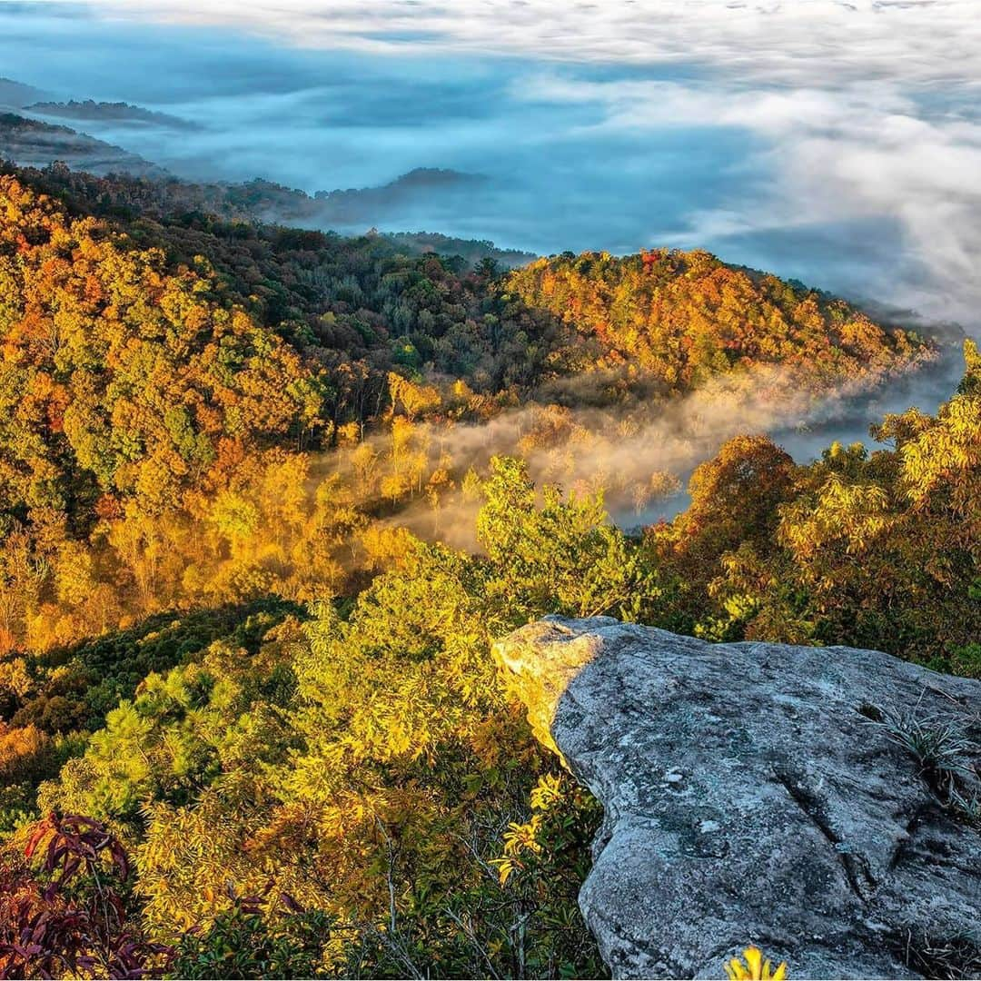 アメリカ内務省さんのインスタグラム写真 - (アメリカ内務省Instagram)「Ascend to Cumberland Gap and enter a place of exquisite beauty. A place marked by the passage of time, ancient geologic forces, the migration of wildlife and the comings and goings of diverse people.  Those who explore the nearly 85 miles of hiking trails are rewarded with groves of hemlock, meadows of rhododendron and fiddle ferns, and a spectacular view into Kentucky, Virginia and Tennessee.  Photo by Harold Jerrell  #publiclands #Appalachians  Alt Text: Dense fog fills a large valley as the morning sun glistens off the top of several mountains. The mountains face every direction and are covered with fall-colored plants and trees.」11月29日 5時23分 - usinterior