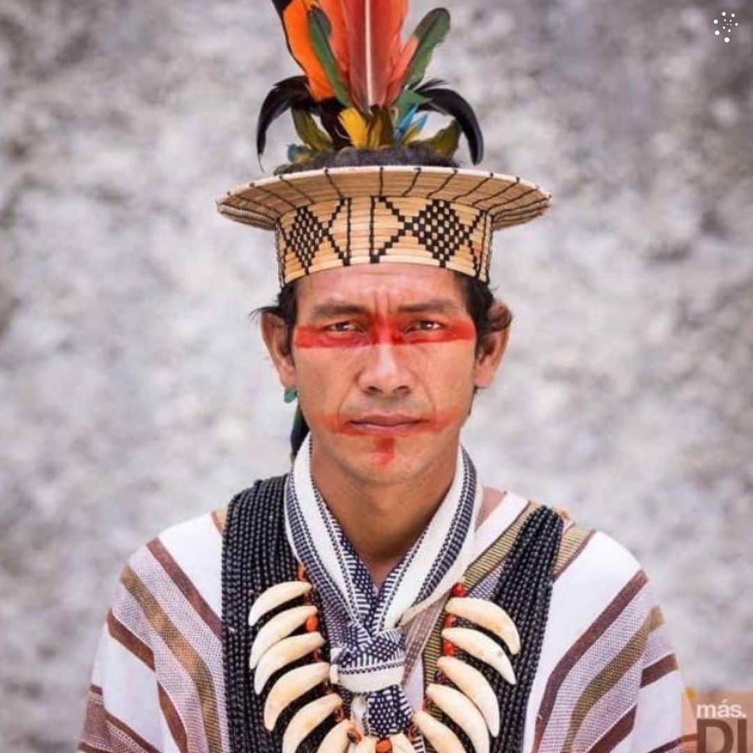 ライス・リベイロさんのインスタグラム写真 - (ライス・リベイロInstagram)「🎶Music plays a vitally important part in the culture, traditions and spirituality of the Asháninka, seen as “a channel for the energy of the earth and a portal to the spirits of the ancestors.” (@guardian)  Benki Piãko, leader of the Asháninka and founder of the Yorenka Tasorentsi Institute, has long been working to protect nature and the rights of Indigenous people, and alongside @theboafoundation, he is working to regenerate degraded ecosystems through strategic land buyacks and reforestation projects.  ✨We will be supporting the Asháninka and the Boa Foundation at the very special @superblue.art on December 4th, where we will be fundraising for the Indigenous-led restoration of the Amazon’s self-sustaining ecosystem.  We can’t wait for what promises to be an inspiring evening of music, learning and community building!」11月29日 0時03分 - laisribeiro