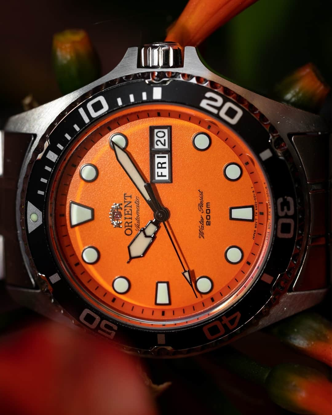 Orient Watchのインスタグラム：「Winter is fast approaching, time to get those orange watches while the leaves are still here.⁠ ⁠ Model: FAA02006M9⁠」