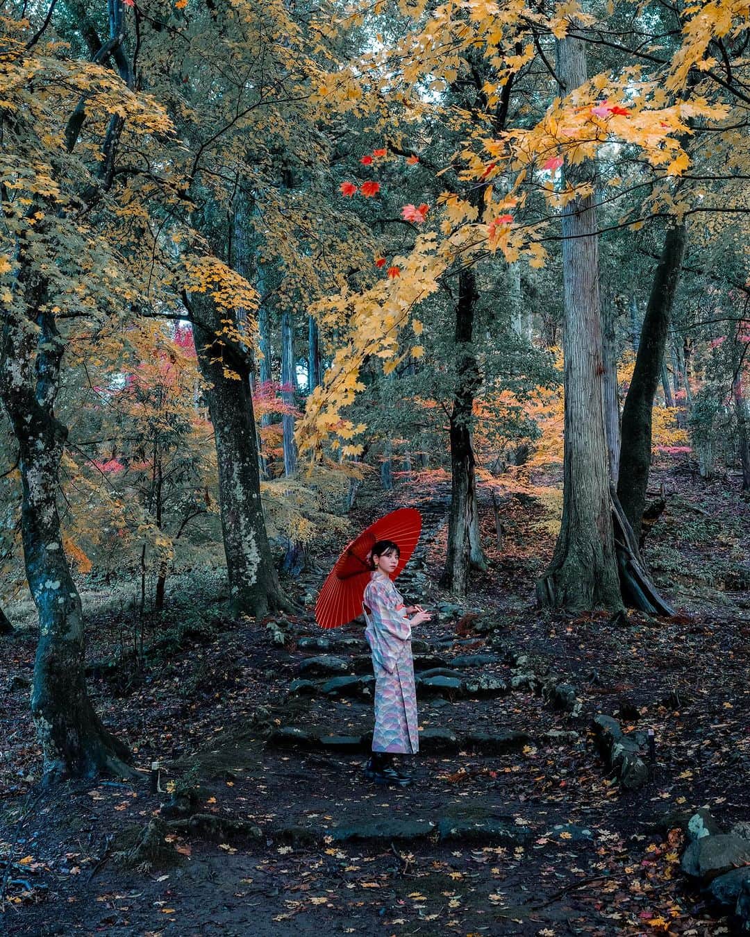 shabonのインスタグラム：「* . . . . . 紅葉旅🍁 今回も過酷(?)なスケジュール だったけどめちゃ楽しかった🥹✨ ありがとう！！ . . model : @rk19_photo . special thanks. @hakuchuu1882  . . FUJIFILM GFX50S II /  GF45mm F2.8 R WR . . . . . . *」