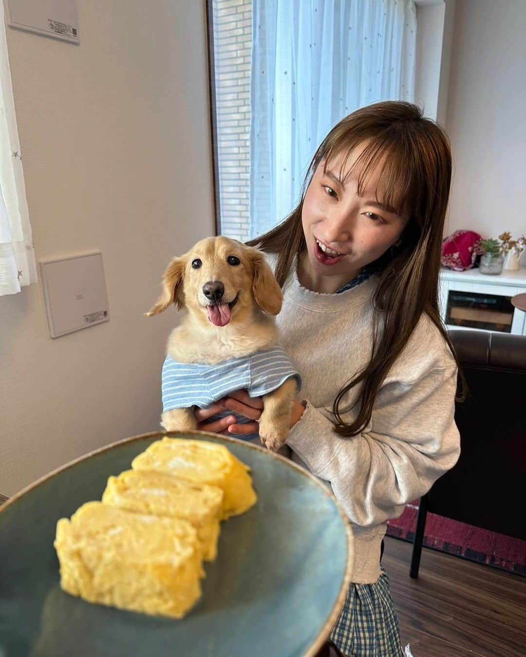 誠子さんのインスタグラム写真 - (誠子Instagram)「いらっしゃいませ。こんばんは。  merciメンバーのみなさんが誠子食堂に来てくれました。  優しい二人には優しい和食ごはんをお出ししました。 おやつは、はちみつスコーンです。  アンナちゃんの柚子マドレーヌ、おいしい。 未来ちゃんのいただきます、可愛い。  またいつでも食べにきてね。🐶🍀  @merci.asm  #誠子食堂」11月29日 0時44分 - seiko_1204
