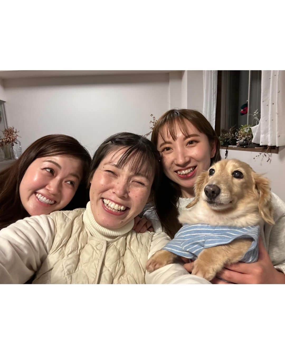 誠子さんのインスタグラム写真 - (誠子Instagram)「いらっしゃいませ。こんばんは。  merciメンバーのみなさんが誠子食堂に来てくれました。  優しい二人には優しい和食ごはんをお出ししました。 おやつは、はちみつスコーンです。  アンナちゃんの柚子マドレーヌ、おいしい。 未来ちゃんのいただきます、可愛い。  またいつでも食べにきてね。🐶🍀  @merci.asm  #誠子食堂」11月29日 0時44分 - seiko_1204