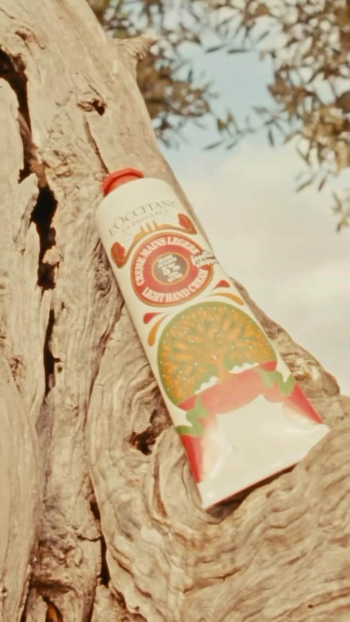 ロクシタンのインスタグラム：「Help dry skin peace out with a nourishing infusion of olive oil and shea butter in a sumptuous whipped cream texture. Notes of rosemary, olive wood and sage create a fresh and comforting scent.」