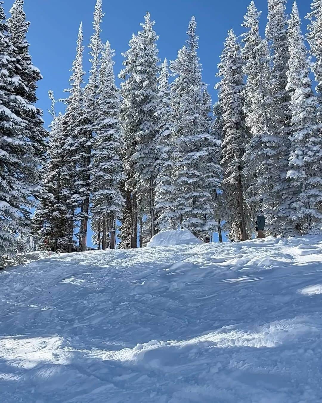 アナログクロージングのインスタグラム：「Opening Day 🏁   #BurtonTeam rider, @jakecanterr, wasting no time on the first day of the season.   📱 @hunterrmhill  #Burton  #Snowboarding」