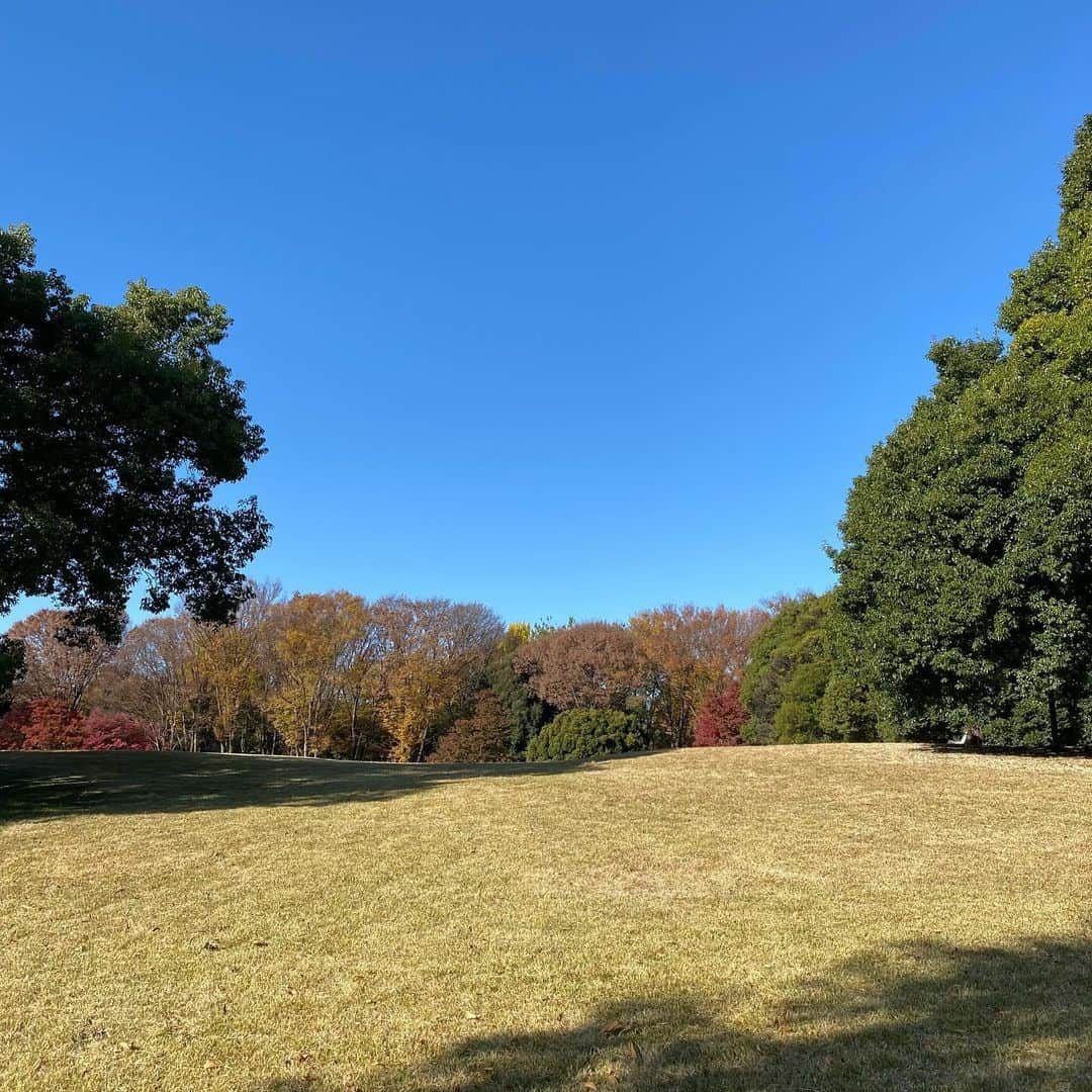 わたなべだいすけのインスタグラム：「2023.11.29  EVERGREEN  今日は実家で飼ってたポメラニアンのココが星になった日。 いっしょに砂浜を走ったりしたいなぁ。 アイスのフタをなめさせてあげたいなぁ。」