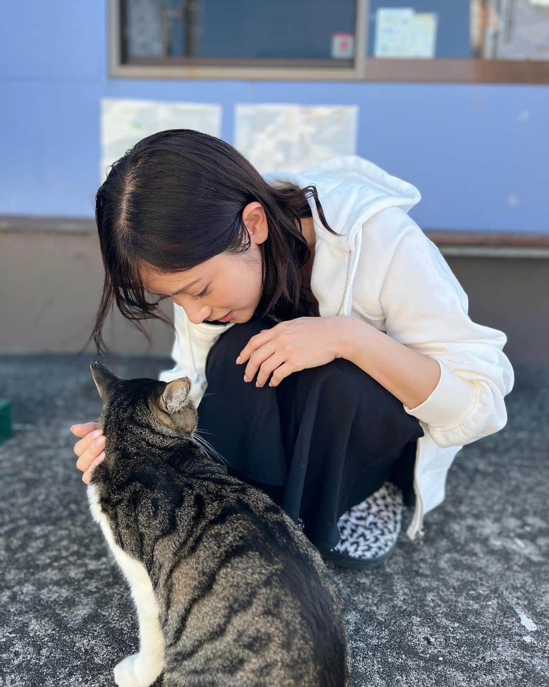 桃月なしこさんのインスタグラム写真 - (桃月なしこInstagram)「🐱♡  #桃月なしこ #なしこたそ」11月29日 13時20分 - nashiko_cos