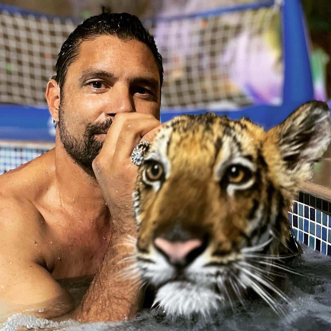 マヌー・ベネットのインスタグラム：「Bucket list: Swimming with a TIGER! Much thanks @realsultankhoory 🐅 #tiger #spapool #thedubaifarm」