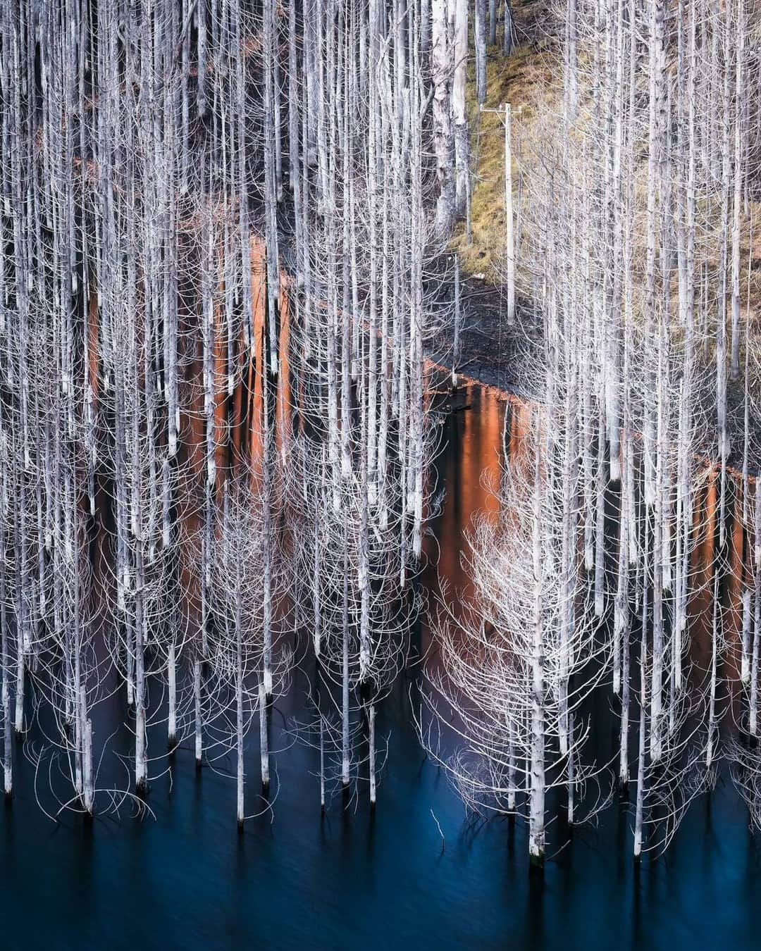 東京カメラ部公式さんのインスタグラム写真 - (東京カメラ部公式Instagram)「Photo by @kudryavka_s_window shared on @japantravelgallery. Welcoming likes and comments! . At @japantravelgallery, we share photos of beautiful scenery, culture, and food in Japan. Use #japantravelgallery to be featured. . For all photography lovers, travelers, fans of Japan and the like! . *Please act according to instructions issued by the government, municipalities, and public institutions.⠀ Through appreciation of photography, Tokyo Camera Club and its sister pages hope to offer some comfort at this time.⠀ . *This account is operated by Tokyo Camera Club using Facebook/Instagram's service and is not affiliated with Facebook Inc. or Instagram in any way.⠀ . Follow: @japantravelgallery . #japantravelgallery #tokyocameraclub #東京カメラ部 #Photo #写真 #カメラ」11月29日 6時30分 - tokyocameraclub