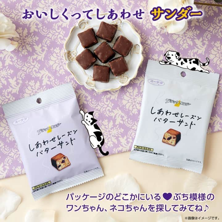 ローソン のインスタグラム：「「ブラックサンダーひとくちサイズ しあわせレーズンバターサンド」が発売中♪ 上質なラムの香りとしっとりとした食感を楽しめます！ 食べてみたいと思ったら「💜」で教えてください(^^) . 「ブラックサンダーひとくちサイズ しあわせレーズンバターサンド」 ※この商品は原料にアルコールを含みます ※アルコール分0.5％ . #ローソン #LAWSON #ローソンおかし #ローソンおやつ #コンビニおやつ #ブラックサンダー #レーズンバターサンド #今日のおやつ #おやつタイム #おやつの時間 #sweets #instasweet #sweetsgram #dessert #dessertgram #instadessert #japanesefood #instagood #foodstagram #foodpics」