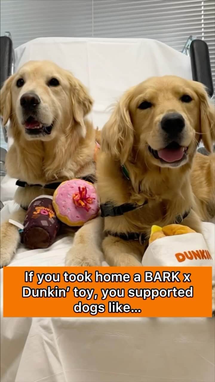BarkBoxのインスタグラム：「Happy Giving Tuesday, everyone! This year, we wanted to highlight the AMAZING work done by the @joyinchildhood “Dogs for Joy” program. Launched in 2018, the “Dogs for Joy” program places highly trained dogs that perform specialized tasks in healthcare settings and act as a critical part of a child’s treatment plan. We would like to introduce you to Tyra, one of these highly skilled pups! Tyra is a facility dog at RUSH Children’s Hospital in Chicago. As a full-time employee of the hospital team, Tyra is a critical member of the child’s care team. She is trained to aid healthcare staff with everyday tasks like showing patients how to take medication, modeling how to wear a hospital gown, keeping patients calm during a medical intervention, incentivizing patients to join her on a walk, get out of bed, and so much more! Tyra’s work is so important as research shows that animal-assisted therapy can lower stress and anxiety levels, affect blood pressure, increase patient mobility, and provide an alternative focus from pain. To learn more about Tyra, you can head over to her instagram @chicagosnexttopdog   Thank you to @rushchildrens for the footage!」