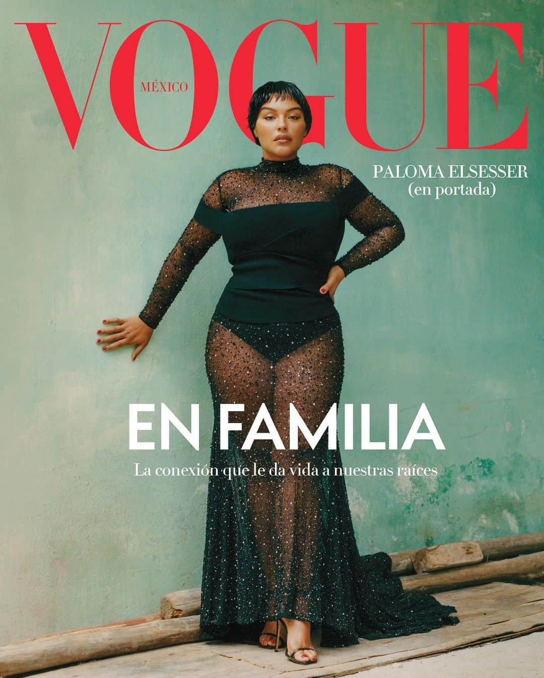 IMG Modelsさんのインスタグラム写真 - (IMG ModelsInstagram)「#PalomaElsesser covers the new Vogue Mexico & Latin America 📸 @camilafalquez  #IMGModels」11月29日 8時56分 - imgmodels
