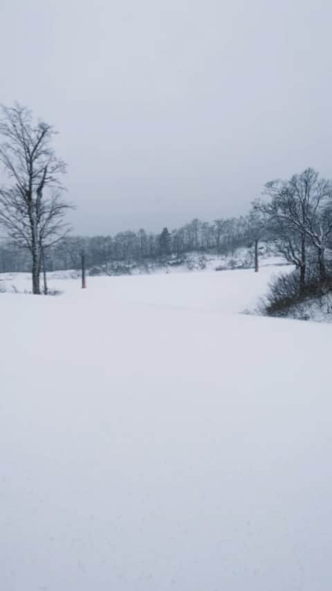 栂池高原スキー場のインスタグラム：「おはようございます！  ゴンドラリフト「イヴ」山頂駅付近の状況を皆さまにお伝えします。 昨日からずっと雪が降り続き、一面雪で覆われた景色はとても綺麗です！  早割シーズン券の販売締切まで、残り２日です！ 皆さま購入するなら今がおススメです‼︎ お早めにお申し込みください。  詳しくは栂池公式ホームページ @tsugaike_kogen プロフィールURLよりご覧頂けます✨  ━━━━━━━━━━━━  Good morning from Tsugaike Mountain Resort Today, we will show you the latest situation near the Gondola Top Station. As the snow continues to fall from yesterday, everything is covered in snow and the scenery is magnificent! Only two days left until the selling period of early bird season pass is over! Make sure to buy it ASAP!  For more information, check our official website! @tsugaike_kogen check the link in our URL profile!✨  #中部山岳国立公園 #栂池自然園 #北アルプス #白馬山麓 #長野県 #白馬つがいけWOW！ #白馬 #栂池高原スキー場 #栂池高原 #栂池 #ロープウェイ #つがいけマウンテンリゾート #tsugaike #hakuba #絶景 #こどもとおでかけ #トレッキング #キャンプ #ドッグラン #アクティビティ #白馬三山 #高山植物 #スキー #スノーボード #スキー場 #snowlife #snowlifeinjapan」