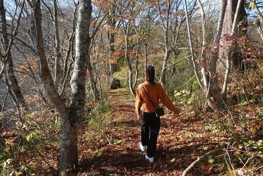 美蘭レンナのインスタグラム：「. . . 青森・秋田旅🍎(十和田湖周辺) . . . うめだ阪急のpopupの次の日。 朝4時半に起き、 朝7時から伊丹空港の神座らぁめんを食べて青森へGo！！！ 関西を離れる前と帰ってきた時には 必ず関西のご飯を食べたくなるの、なぁぜなぁぜ？🤔笑  初・東北地方！ ひゃぁ、素晴らしい場所でした🍁🍁🍁  話は少し逸れますが、 少しだけカナダに留学していたことがあって🇨🇦 滞在は短かったのですが、 カナダで出会った人達との素晴らしいご縁もあり、 思い入れもあり、とっても好きな場所なんです☺️  急に時折、「あっカナダに帰りたい」って思う時があって😂  どこでもドアがあれば、すぐカチャっと移動できますが🚪 21世紀の今は成田-トロント直行便で約12時間です✈️笑  青森秋田の美しい紅葉を見た時にメープル街道やんと🇨🇦 (あくまでも個人の感想です)  どこか懐かしい感じや、清らかなパワーも感じ、 約15000年前の太古 縄文時代から続く土地や 自然のエネルギーがまだここにあるのだと思いました。  秋の季節しか体験していないですが、 カナダに帰りたくなったり(笑)、美しい自然に触れたい時、 きっとまた青森秋田を訪れるでしょう☺️☺️☺️ 大好きな場所になりました🍁 . . . #旅#旅行#青森#秋田#東北#東北旅行 #十和田湖#美しい#自然#縄文時代#遺跡 #紅葉#紅葉スポット#紅葉シーズン#日本 #秋#1番好きな季節#カナダ#来年#夢#目標 #aomori#akita#towada#jomon#japan#trip #japantrip#japanlife#japaneseculture」