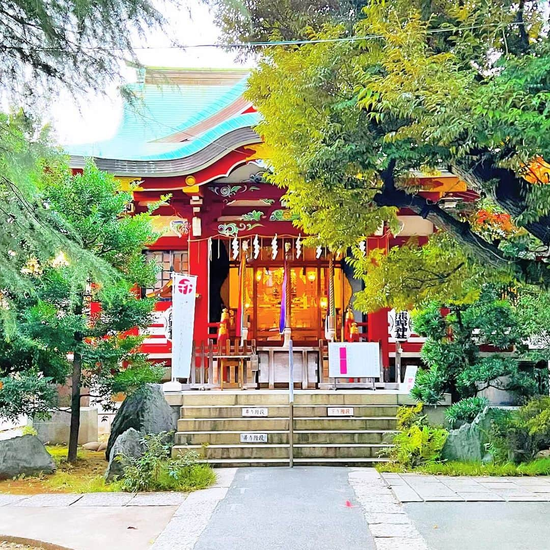 YOKANのインスタグラム：「《OhaYOKAN》  今朝の 原宿表参道は快晴なり…☀️  清々しく さわやかな冬晴れの朝🌅  朝ラン＆ウォークは  お仕事の関係で  少し遅めのスタートで 短めでしたが快調でした…🏃‍♀️👟  さて  『相変わらずのお話』  今月は 30日までなのに…  またしても…うっかり⁉️  ということで  ちょっと バタバタモードな月末です（笑）  みなさま  笑顔でステキな1日を…💓  ※今朝の  《YOKAN散歩》  街角アート写真は  神社仏閣シリーズ…⛩️  青山  キラー通りから 少し入ったところにある  『青山熊野神社：くまのじんじゃ』  正保元年（1645）の 創建と歴史のある神社です…⛩️  手水舎（ちょうずや）に  お花がいっぱいに 敷き詰められていて綺麗でした❣️  #harajuku #omotesando #tokyo #原宿 #表参道 #morning #朝 #running #ジョギング #朝ラン #walking #ウォーキング #朝活 #OhaYOKAN #YOKAN散歩 #YOKAN #streetart #街角アート #shrinesandtemples #神社仏閣 #aoyamakumanoshrine #青山熊野神社 #chozuya #手水舎 #手水舎に浮かぶ花 #インスタ映え #instagram #tokyocameraclub #笑顔でステキな1日を💓」