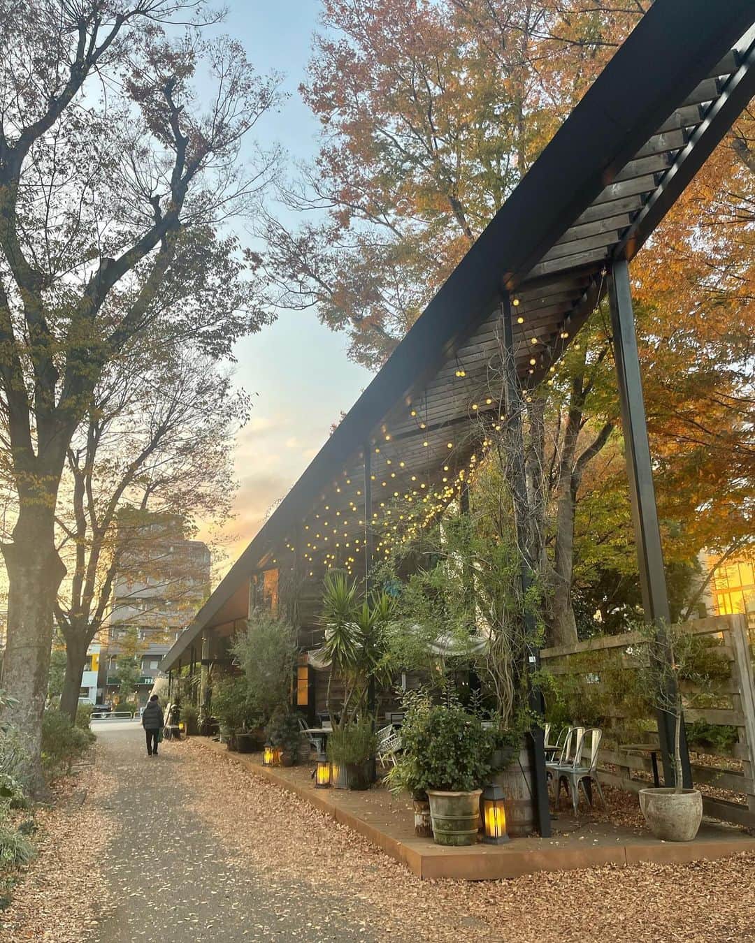 加藤綾菜さんのインスタグラム写真 - (加藤綾菜Instagram)「特番の収録でした！このセットアップ可愛い。 タグ付けしたよ。  昨日は愛犬孝行の為に車で出かけ🐕 沢山歩いたよ☺️ 冬なのに暖かいからテラスでコーヒー☕︎飲んだら気持ちがいいね💓  今年も後1ヶ月☺️ 後悔しないように頑張ろう💕」11月29日 10時31分 - katoayana0412