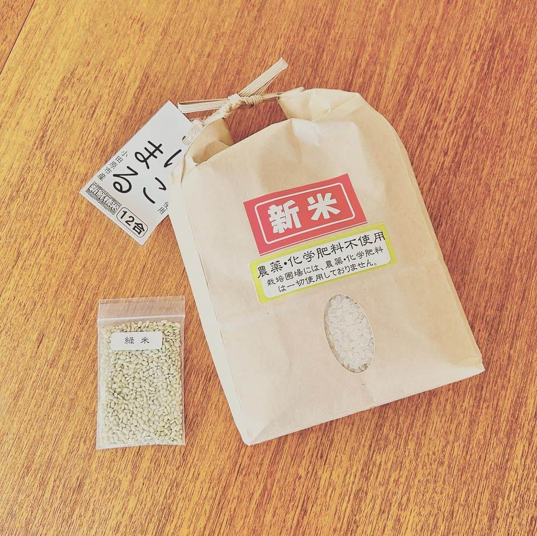 KIKIさんのインスタグラム写真 - (KIKIInstagram)「初めての田植えと収穫🌾  今年の初夏に初めて田植えを体験したのだけど その時のお米が収穫されて送られてきた かまぼこで有名な小田原の鈴廣の企画で 友人に誘ってもらい 子どもたちが中心になってした田植え まだ2歳になっていなかった末娘は「泥」も初体験！ 最初のうちは怖がりもしていたけれど 一歩入ってしまえば あのぬるっとしっとりとした感じがよかったのか 途中からでんっと尻をついて 感触を楽しんでいるようだった（田植えは進まないけれどね）  田植え後に 用水路でもなんだか悦に入っていた  お米は小田原では少なくなってきた田んぼを あえて残そうと また農薬も化学肥料も使わずに頑張って作っているものだそう 空から山へ そして里へ海へと循環におもいを巡らす ありがたくいただこうと思う #鈴廣 #志村屋米穀店の田んぼ #緑米」11月29日 10時36分 - kiki_campagnepremiere