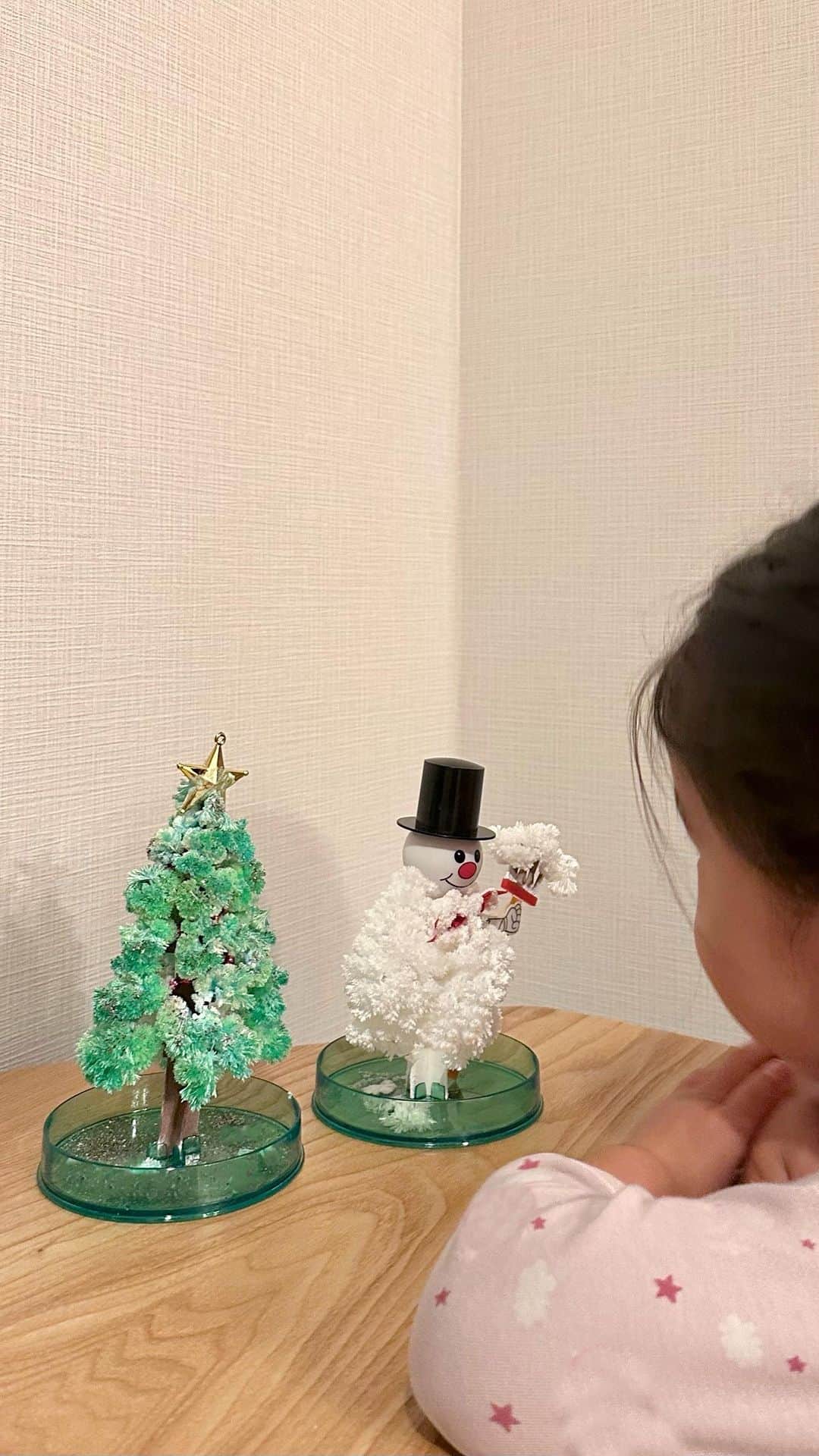 布川桃花のインスタグラム：「娘が興味津々に見守っていた マジッククリスマスツリー&スノーマン🎄 @otogino_kuni   マジックウォーターを注ぐと 12時間ほどでモコモコと成長するよ✨  見るたびに育っていて不思議そうに楽しんでた🤣❤️   1ヶ月くらい持つそうなので クリスマスまで飾っておきます🥰  全7色のマジッククリスマスツリー、 マジックスノーマンともに税込み1,000円で パッケージもかわいいからプチギフトにもおすすめです💕  #PR #クリスマスツリー #クリスマス #クリスマス雑貨 #クリスマスオーナメント #インテリアオーナメント #クリスマス準備 #クリスマス飾り付け #クリスマスインテリア #クリスマスデコレーション #クリスマスプレゼント #プレゼント #おとぎの国 #サンタの国」