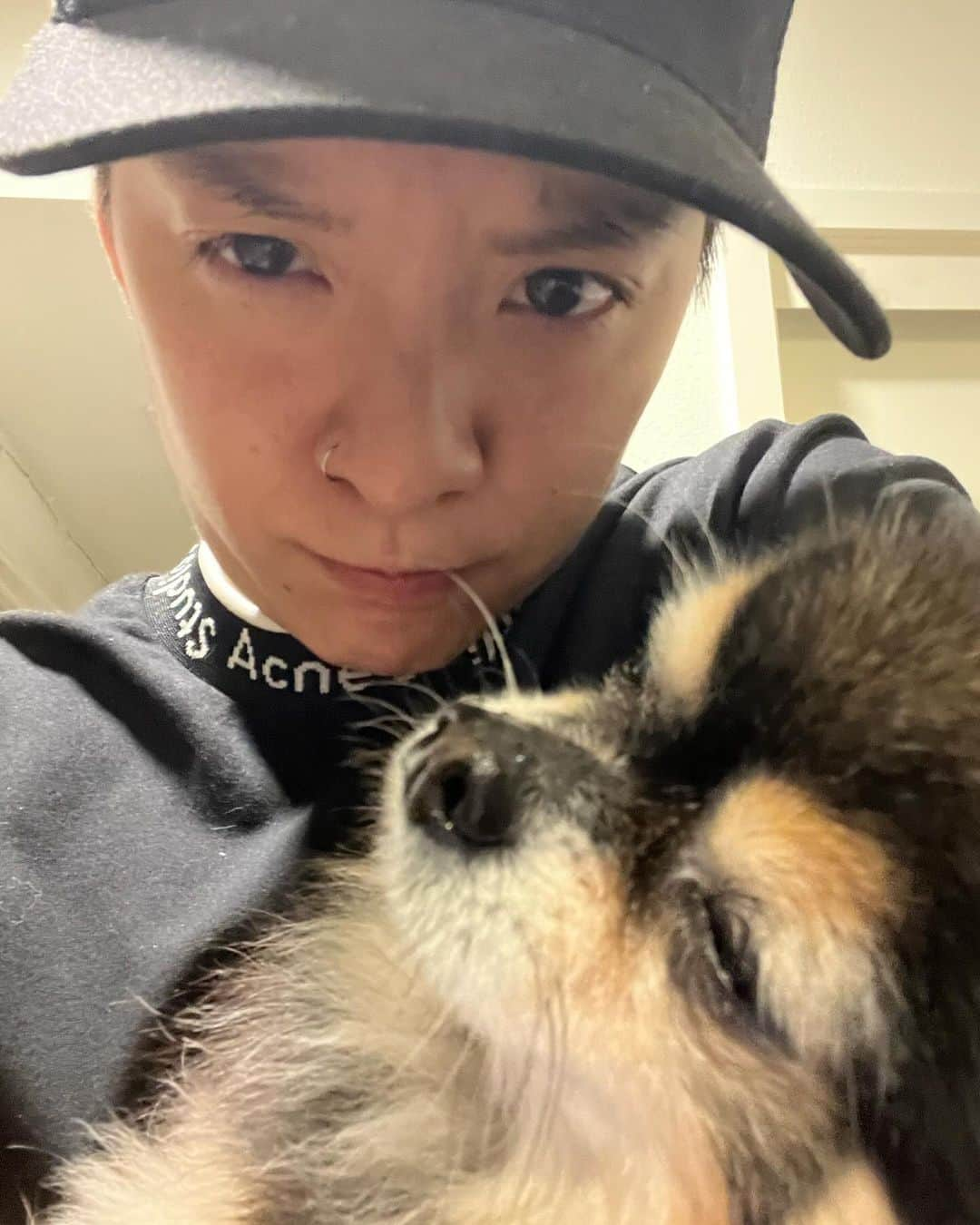 アンバー さんのインスタグラム写真 - (アンバー Instagram)「JackJack appreciation post♥️ all hail King JackJack 🙌👑🐶」11月29日 11時02分 - amberliu