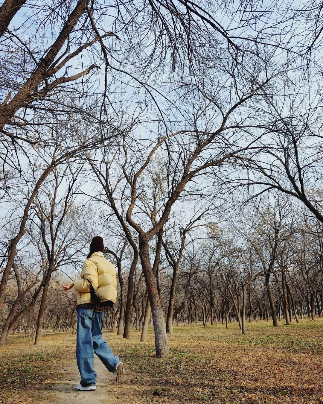 リウ・ウェンのインスタグラム：「The trees are resting until Spring 😴💛」