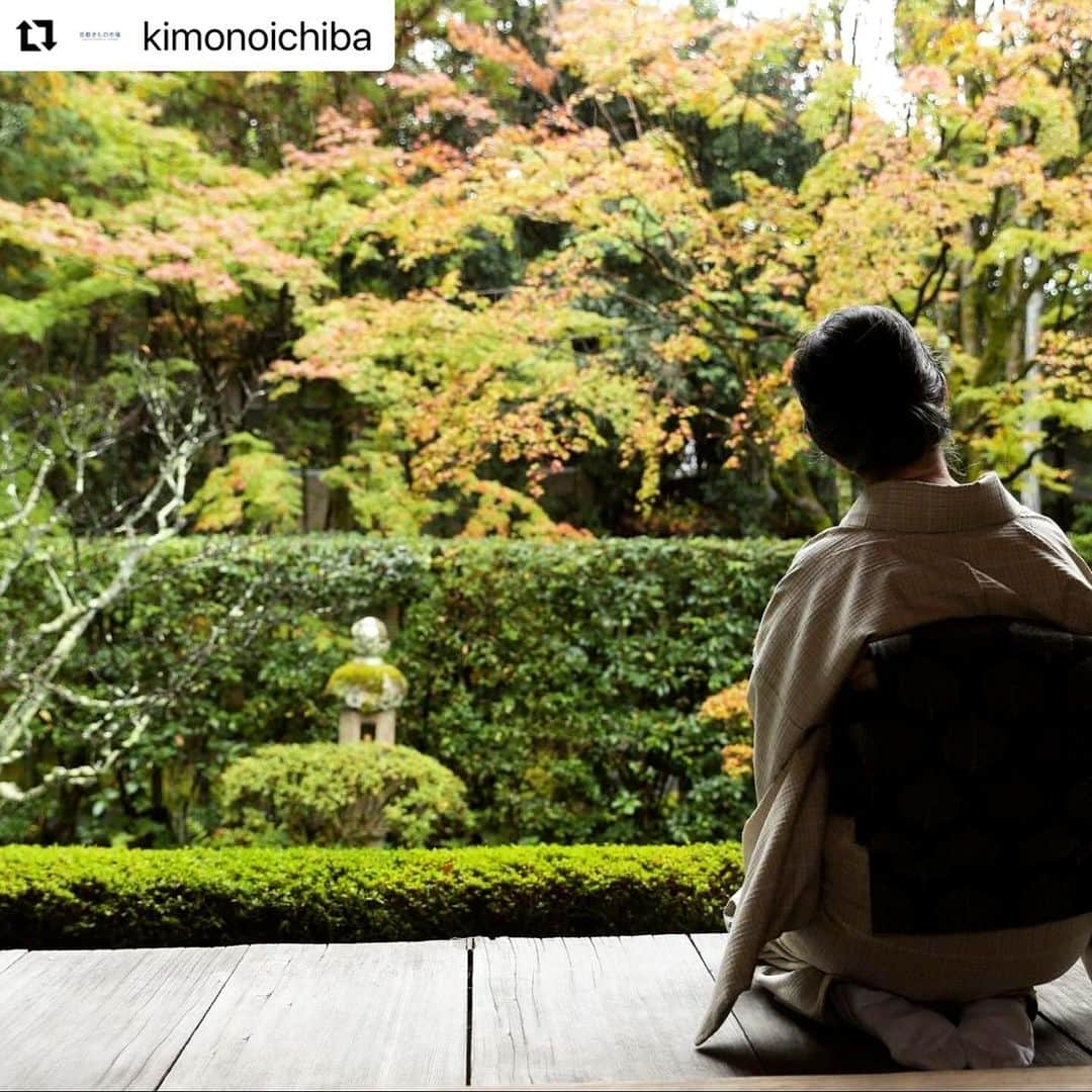 山崎陽子さんのインスタグラム写真 - (山崎陽子Instagram)「紅葉狩🍁 京都は見頃のピークを迎えたようです。 京都きもの市場 WEBメディア「きものと」連載vol6  アップされました。  リポストいたします。 #Repost @kimonoichiba with @use.repost ・・・ 妙心寺塔頭『 #桂春院 』 @keishunin ⁡ 紅葉狩りは静かにゆったりと ⁡ ／ 山崎陽子 さん 「京都できもの、きもので京都」 ＼ ⁡ ✨きものと【new!】 vol.6 https://www.kimonoichiba.com/media/column/1140/ ⁡ → @kimonoichiba よりどうぞ！ ⁡ @yhyamasaki @imatol.e_photo ⁡ ＠matsuzaki_riku ⁡ #妙心寺 #きものと #きもの #きものコーディネート #着物 #着物コーディネート #着物好きさんと繋がりたい #着物好きな人と繋がりたい #京都きもの市場 #山崎陽子」11月29日 11時26分 - yhyamasaki