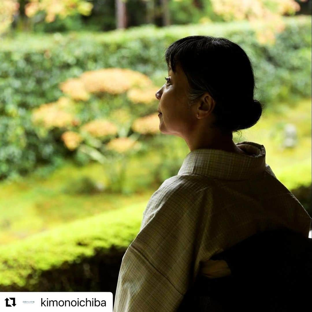 山崎陽子さんのインスタグラム写真 - (山崎陽子Instagram)「紅葉狩🍁 京都は見頃のピークを迎えたようです。 京都きもの市場 WEBメディア「きものと」連載vol6  アップされました。  リポストいたします。 #Repost @kimonoichiba with @use.repost ・・・ 妙心寺塔頭『 #桂春院 』 @keishunin ⁡ 紅葉狩りは静かにゆったりと ⁡ ／ 山崎陽子 さん 「京都できもの、きもので京都」 ＼ ⁡ ✨きものと【new!】 vol.6 https://www.kimonoichiba.com/media/column/1140/ ⁡ → @kimonoichiba よりどうぞ！ ⁡ @yhyamasaki @imatol.e_photo ⁡ ＠matsuzaki_riku ⁡ #妙心寺 #きものと #きもの #きものコーディネート #着物 #着物コーディネート #着物好きさんと繋がりたい #着物好きな人と繋がりたい #京都きもの市場 #山崎陽子」11月29日 11時26分 - yhyamasaki