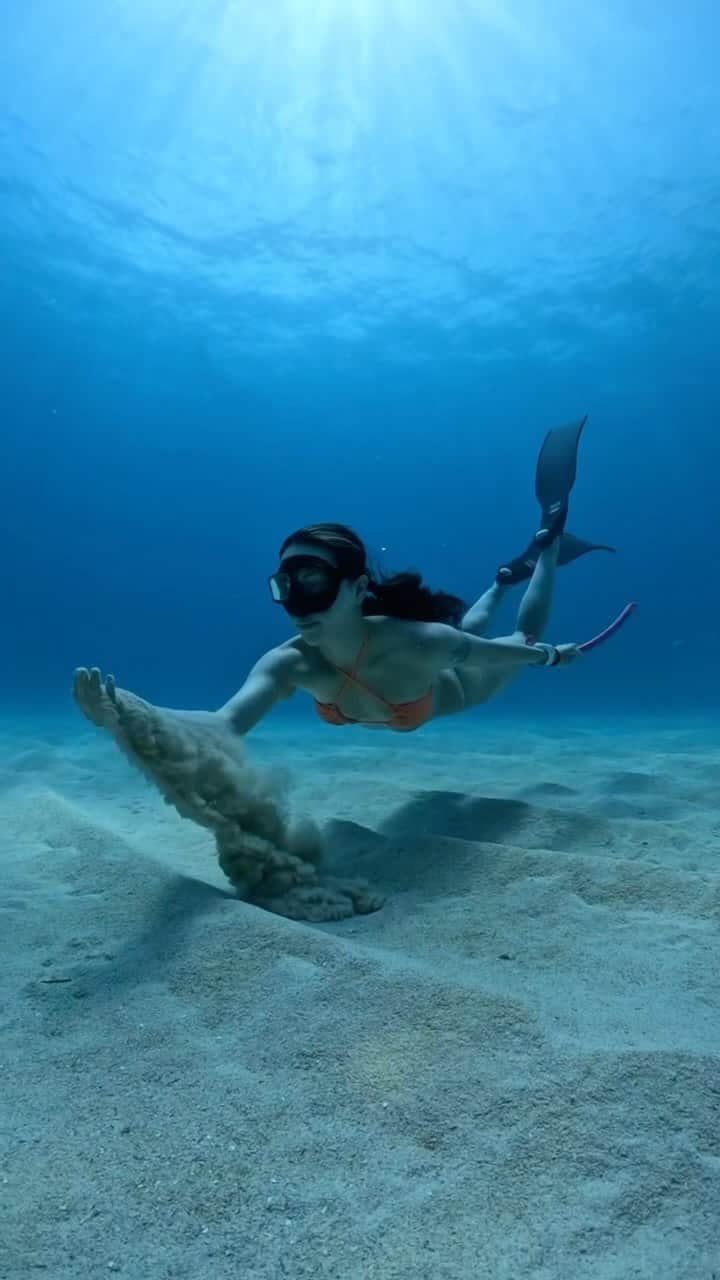 LuCyCoのインスタグラム：「I miss you summer🦋  海も冬モードになりました🌊  素肌でミネラルいっぱい吸収できる夏が 恋しいな  📹 @tgky504  🤿 @ummy_freediving  🛼 @molchanovsfreediving   #素潜り #フリーダイビング #スキンダイビング #水中動画 #自由潛水 #freediver #underwaterphotography #underwaterdance #bsacjapan」
