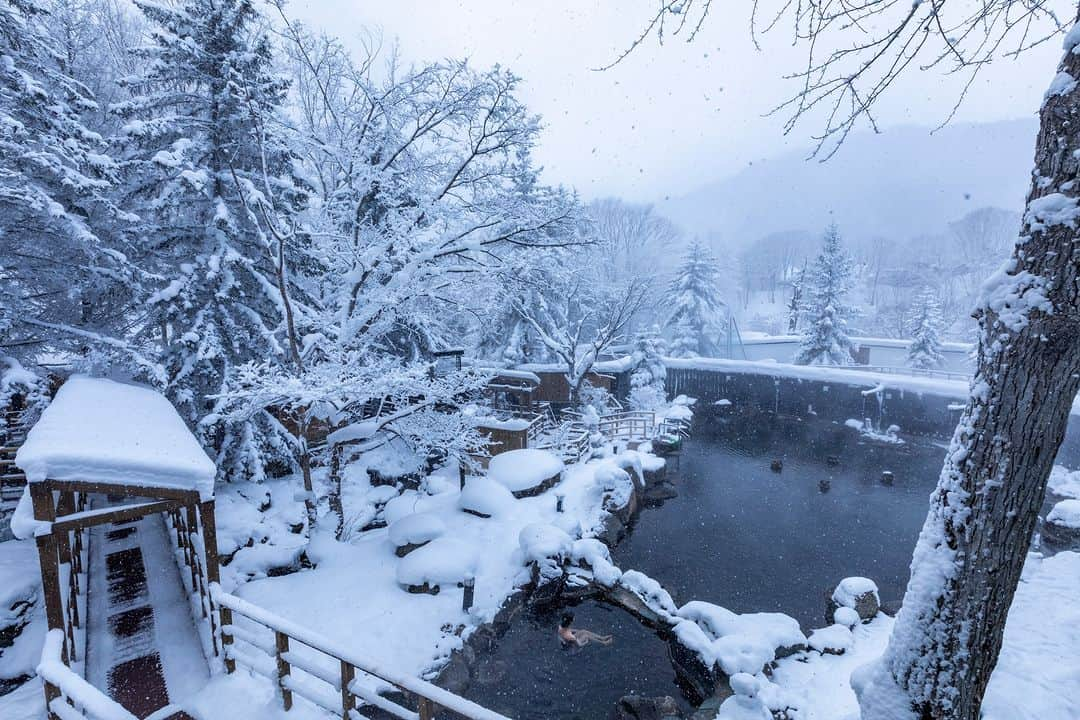 北海道じゃらん【公式】さんのインスタグラム写真 - (北海道じゃらん【公式】Instagram)「北湯沢温泉の冬旅はいかがですか？ 自然の中にある3施設では、冬景色を楽しみながら温泉も満喫できます！ 12/28（木）～1/14（日）の期間限定で北湯沢冬花火も見られます♪  2～3枚目：緑の風リゾート きたゆざわ 4～5枚目：きたゆざわ 森のソラニワ 6枚目：湯元ホロホロ山荘  #北海道じゃらん #北海道じゃらん12月号 #北湯沢温泉　#緑の風リゾート #森のソラニワ　#ホロホロ山荘 #PR」11月29日 12時00分 - hokkaido_jalan