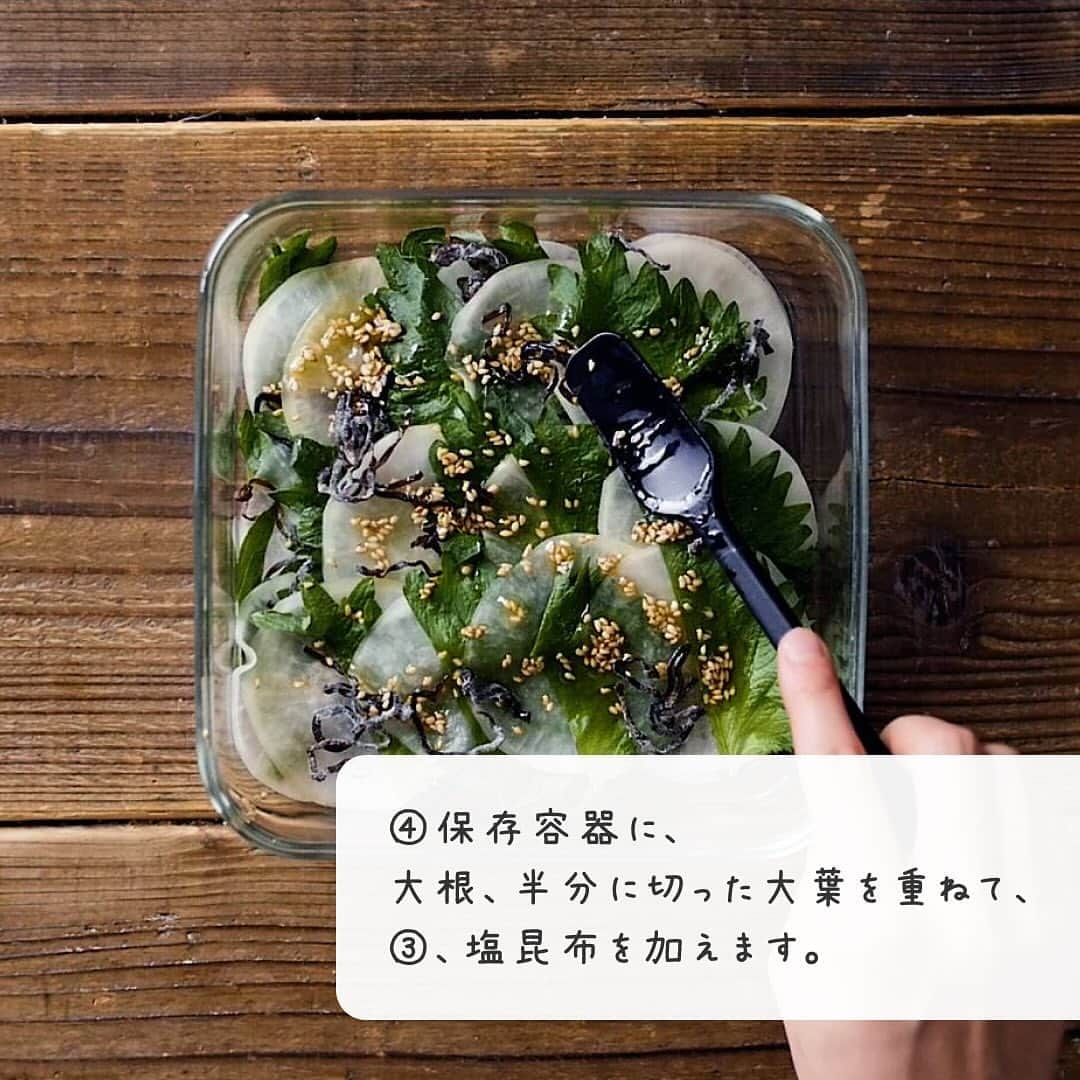 macaroniさんのインスタグラム写真 - (macaroniInstagram)「切って漬けるだけ！「#大根と大葉の塩昆布ポン酢漬け」このレシピのポイントは↓の投稿文をチェックしてくださいね✨  -——————————— ✍️このレシピのポイントは…  ✔️大根の大量消費におすすめ！ ✔️作り置きにも🙌 ✔️箸休めにぴったり✨ -——————————— ご質問はお気軽にコメント欄にどうぞ😊 macaroni の料理家が⁣返信いたします🍳👩✨  ■調理時間：20分 ※漬け込む時間は含みません。  ■材料（2〜3人分) ・大根：200g ・塩：小さじ1/4杯 ・大葉：10枚 ・塩昆布：8g ・a. ポン酢しょうゆ：小さじ1杯 ・a. ごま油：大さじ1杯 ・a. 白いりごま：小さじ2杯  ■作り方 ①大根は薄めの輪切りにします。 ②塩をまぶして10分置き、水気を絞ります。 ③(a) を混ぜ合わせます。 ④保存容器に、大根、半分に切った大葉を重ねて、③、塩昆布を加えます。 ⑤ラップで押さえるように、しっかりと全体を馴染ませます。冷蔵庫で半日ほど漬け込んで、完成です。  ★MEMO★ ・大根を切る際は、スライサーを使っていただくのも構いません。なるべく均等な厚さに切ると、味の染み込みも良くなりますよ。 ・塩揉みしたら、味がぼやけないようにしっかりと水分を絞ってくださいね。  #macaroniレシピ #レシピ #おうちごはん #お家ご飯 #お家ごはん #おうちご飯 #ふたりごはん #うちごはん #食卓 #献立 #作り置き #作り置きおかず #つくりおきおかず #つくりおき #ストックおかず #作りおき #作りおきおかず #常備菜作り #大根 #大葉 #だいこん #漬物」11月30日 8時00分 - macaroni_news